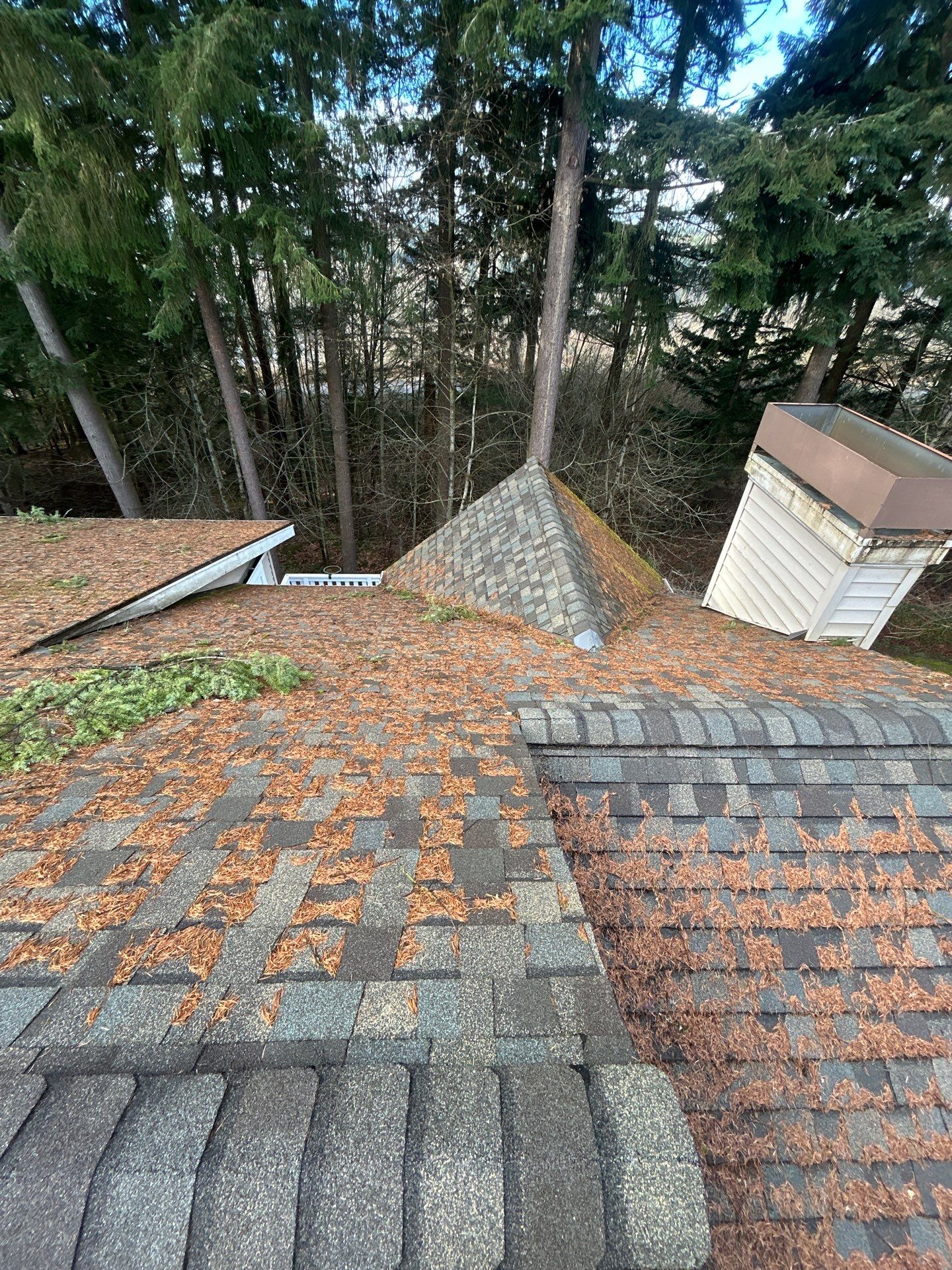 Project in Bothell by Connolly Construction Company