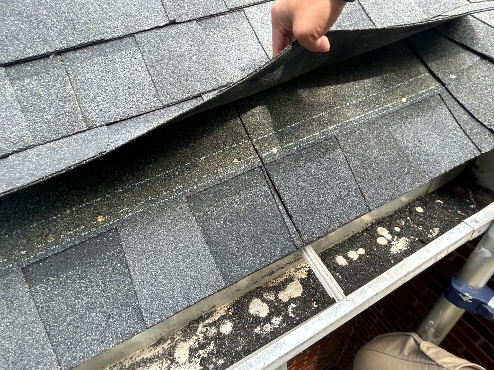 Arlington: Roof Replacement with CertainTeed Landmark Pro Designer Shingles in Max Def Moire Black by RM Banning, Inc.