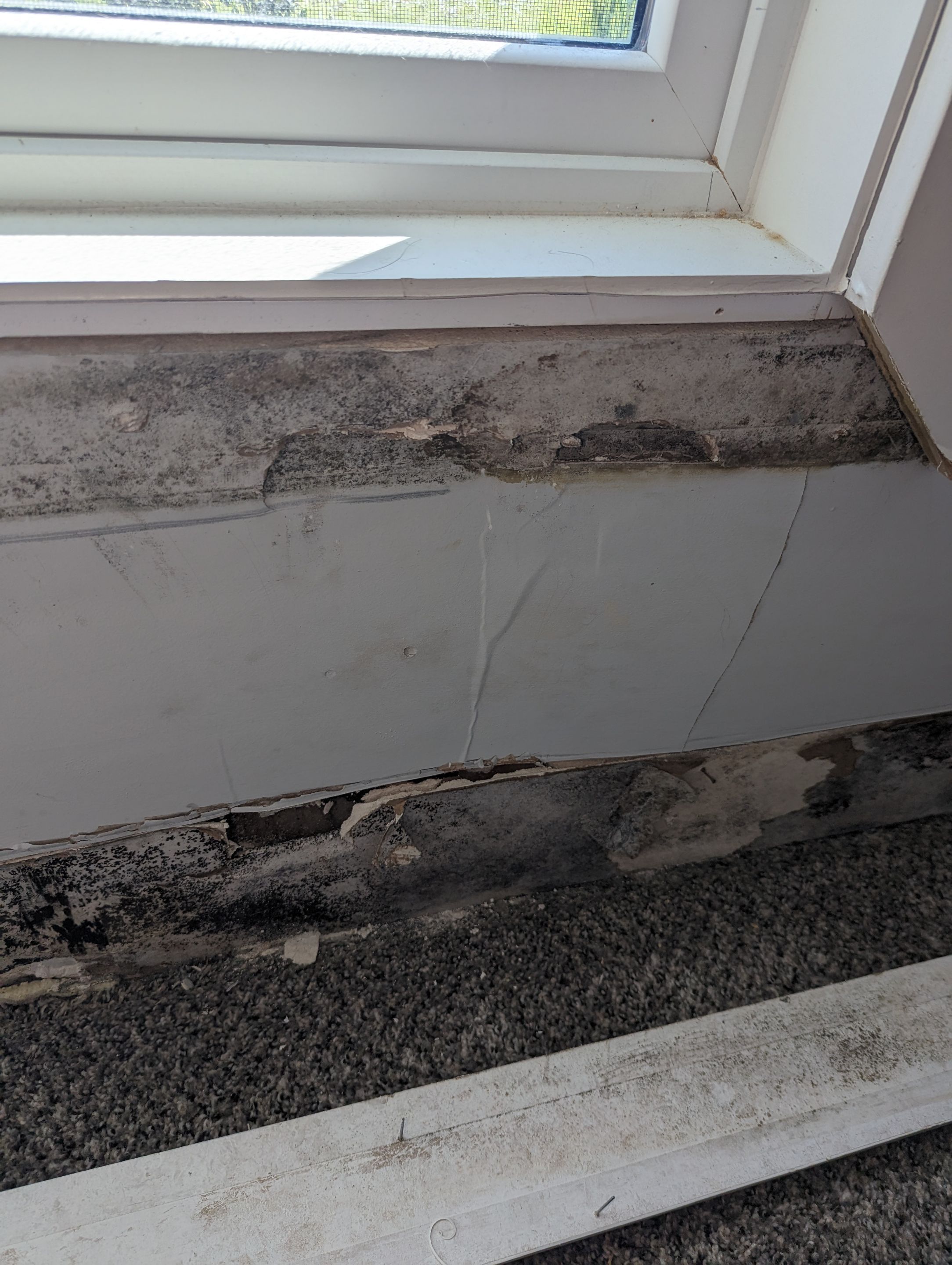 Mold Remediation in Jeffersonville, IN by ANR Restoration