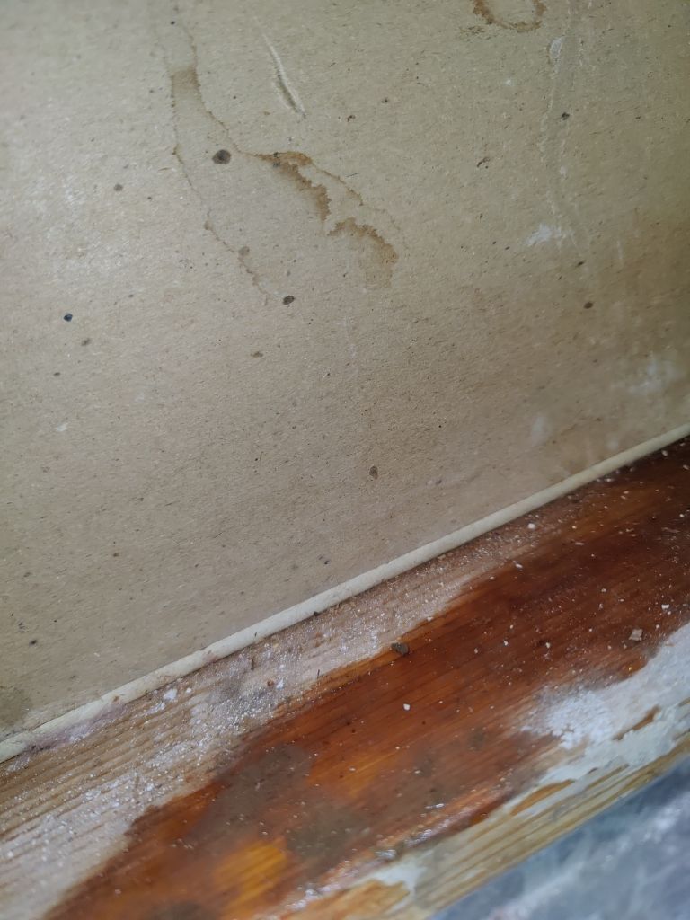 Water Damage by Accountable Home Services