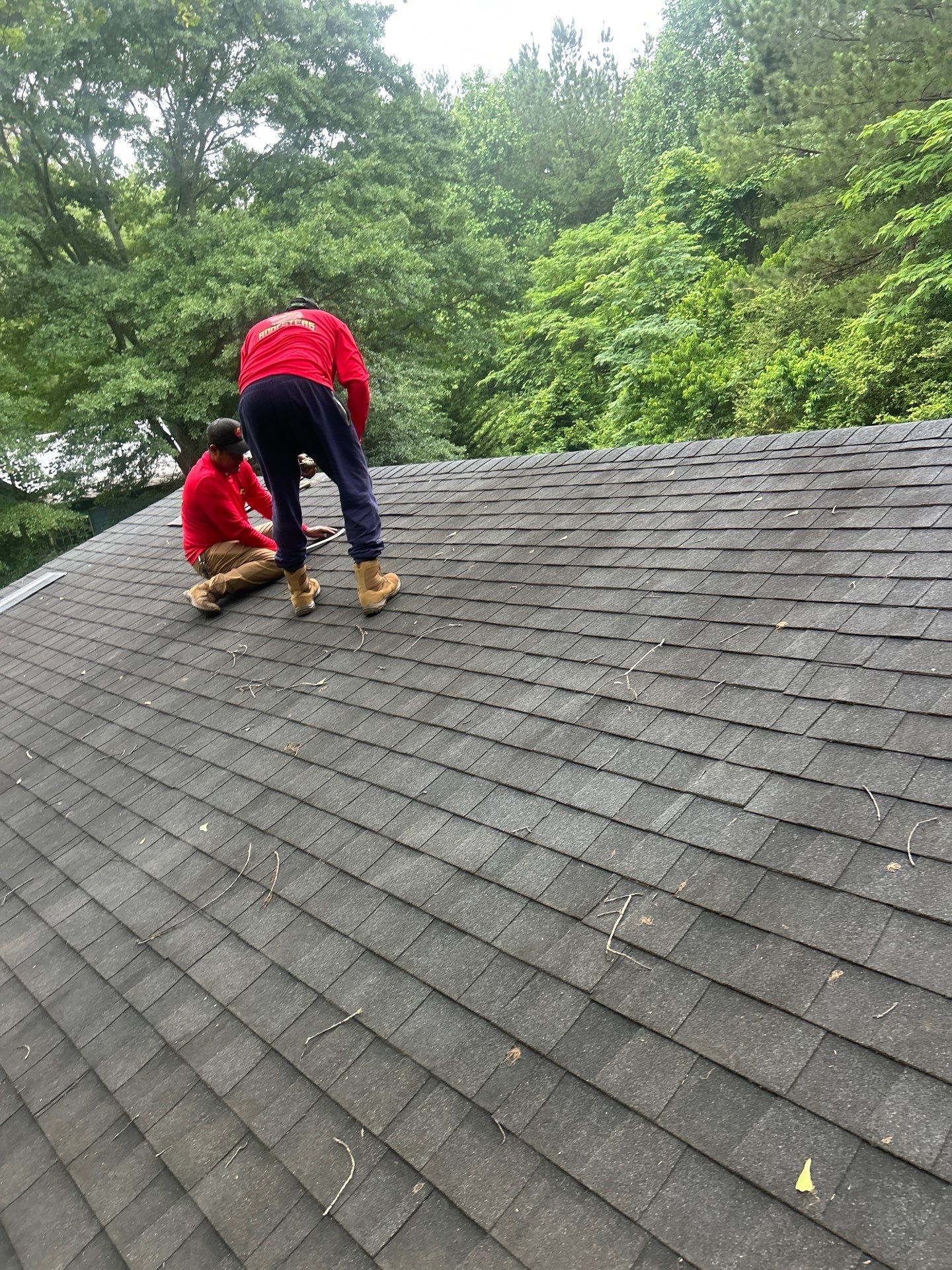 Project in Walhalla by Roofsters