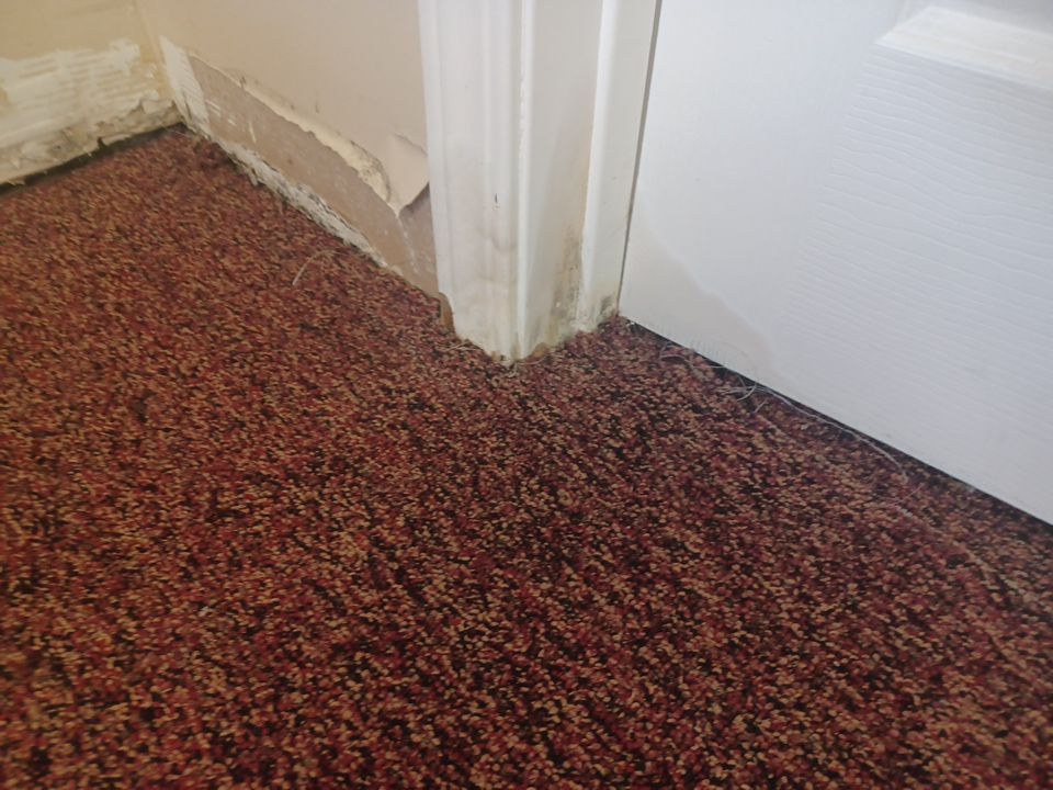 Project in Commerce Twp by EzDry Water Mitigation & Property Restoration