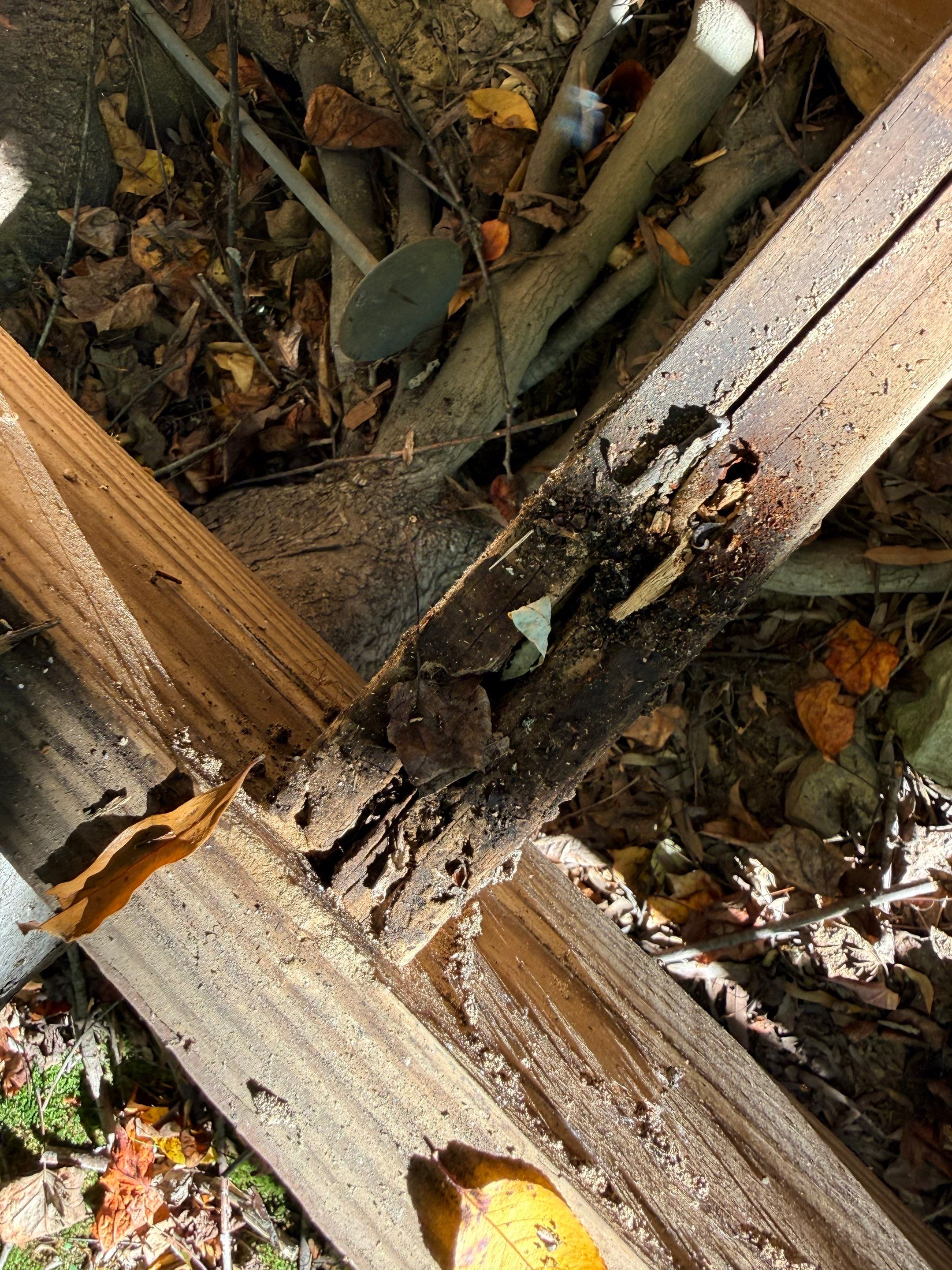 Deck repairs and new decking installation by AXR Inc