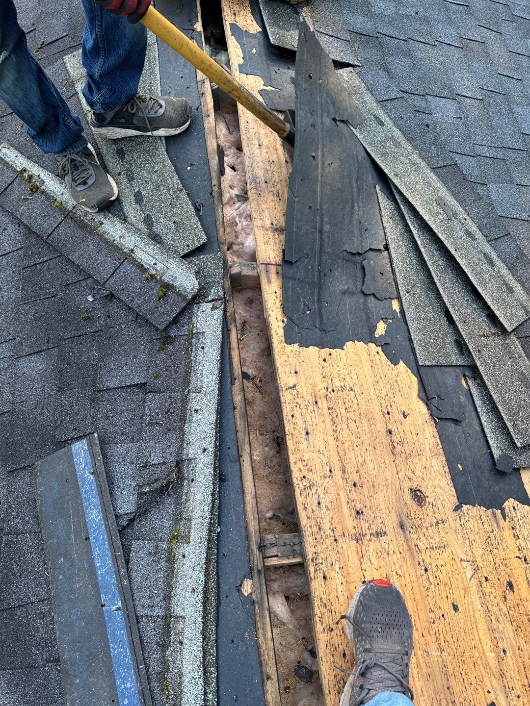 Project in Davidsonville by Elvis General Construction LLC