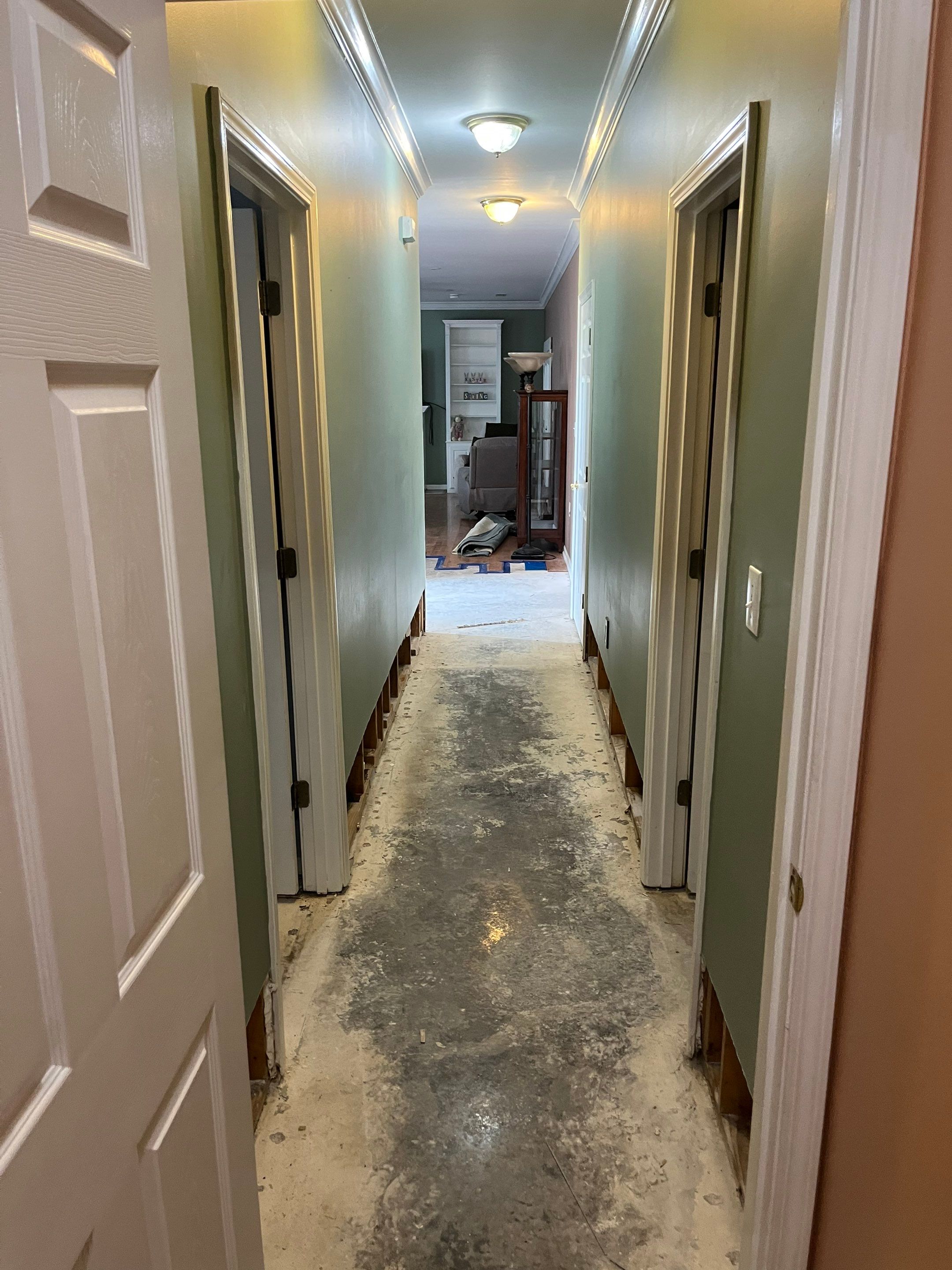 Mitigation and Repairs Project by ANR Restoration