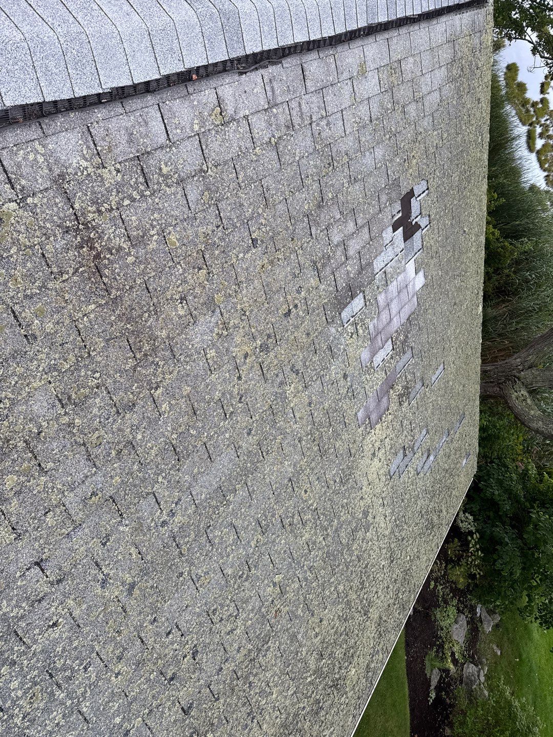 Full Roof Replacement & Carport Trim Repair   by Sensible Home Solutions
