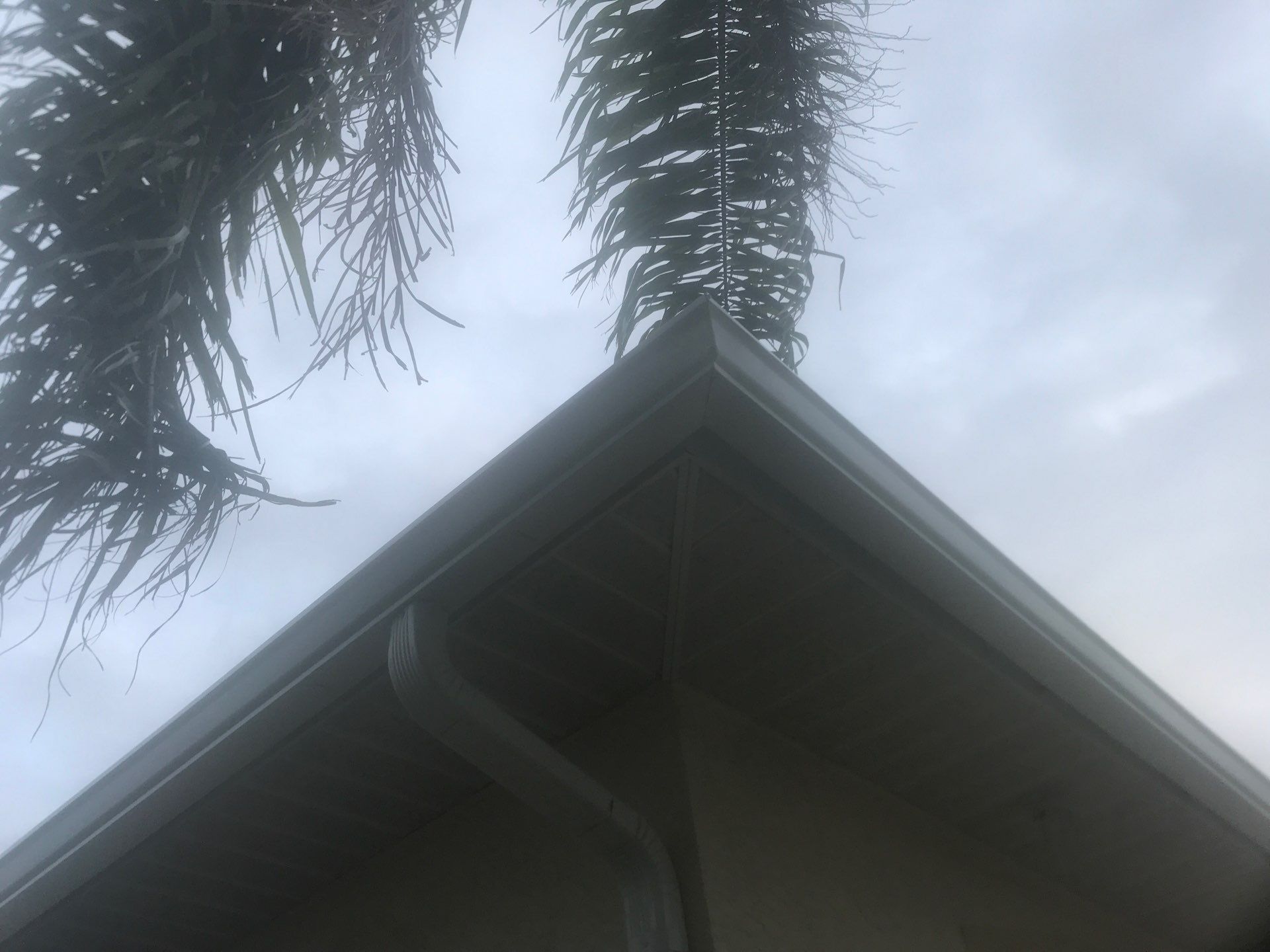 Gutter Installation Wedge in Cape Coral FL by Gutter Professors