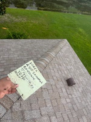 Shingle