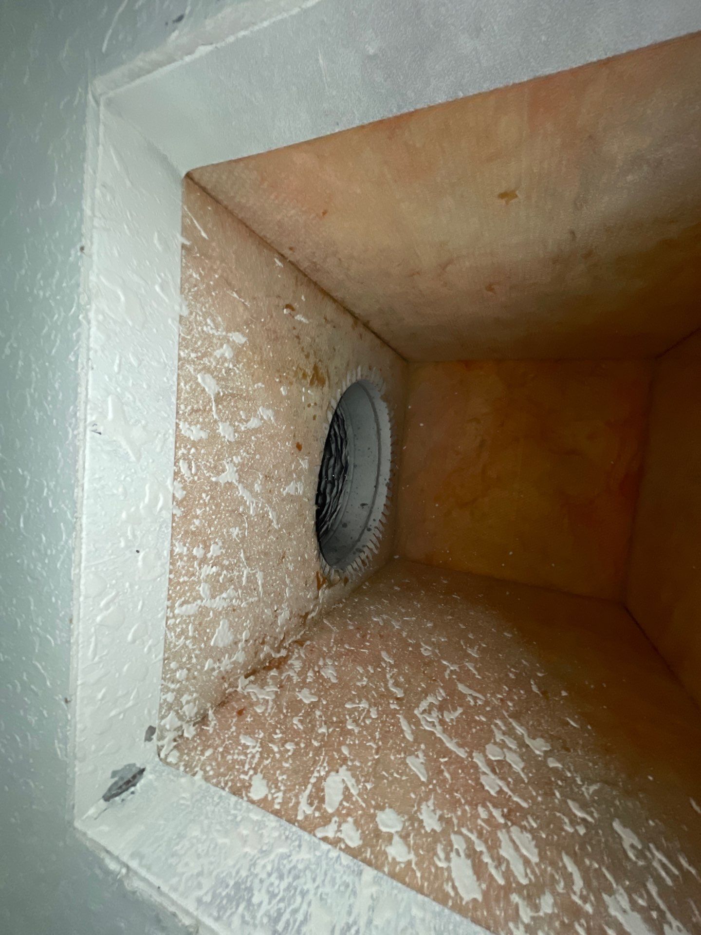 Air Duct Cleaning in Bartow by Hygienic Air, Inc