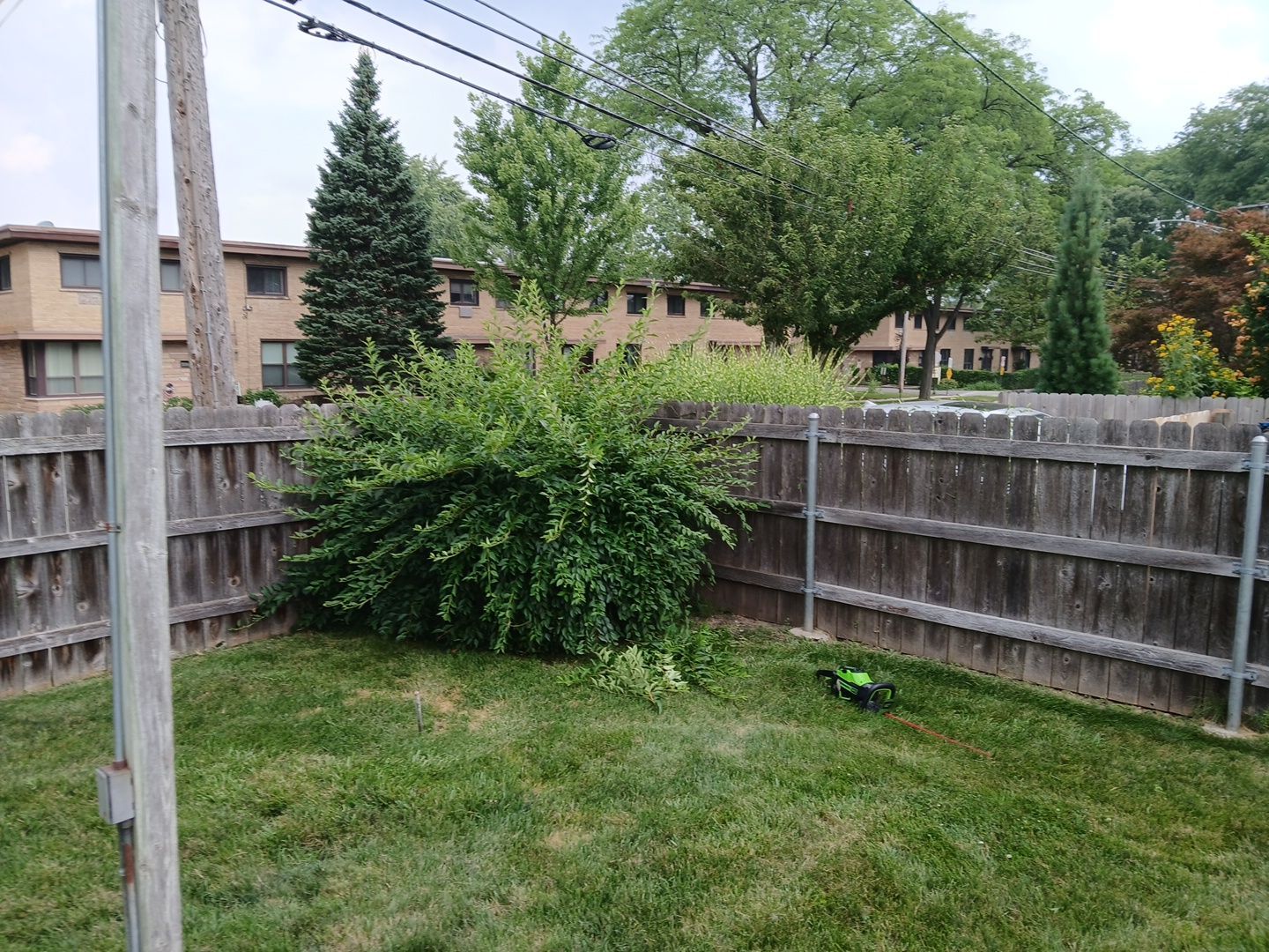 Catherine B. - Mount Prospect, IL by A&N