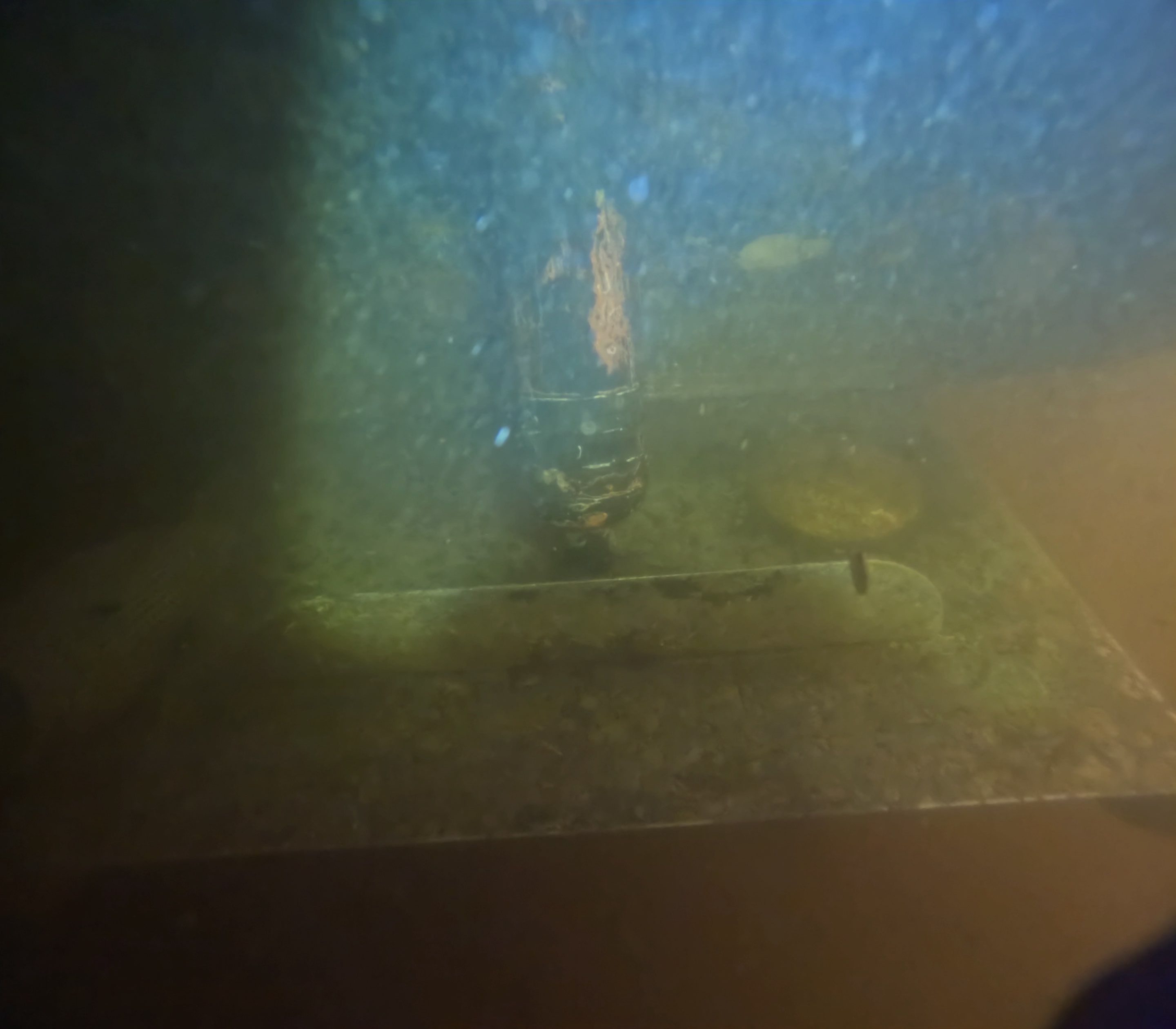Project in North Fort Myers, FL by Florida Hull Cleaning 