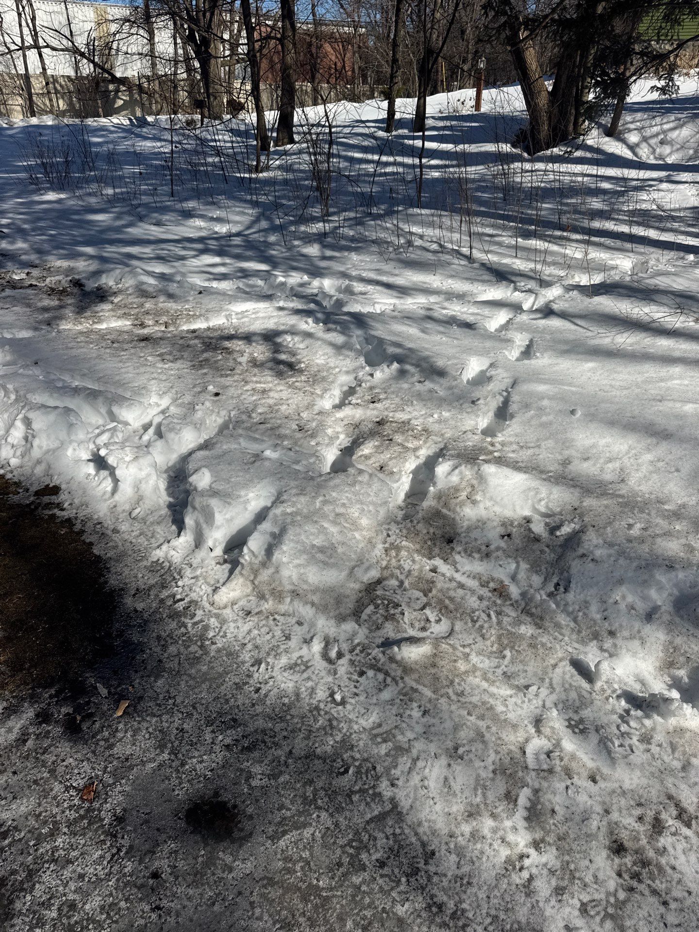 Snow/Ice Belt & Ice Dam Removal Project in Woburn by Mighty Dog Roofing of Greater Middlesex County