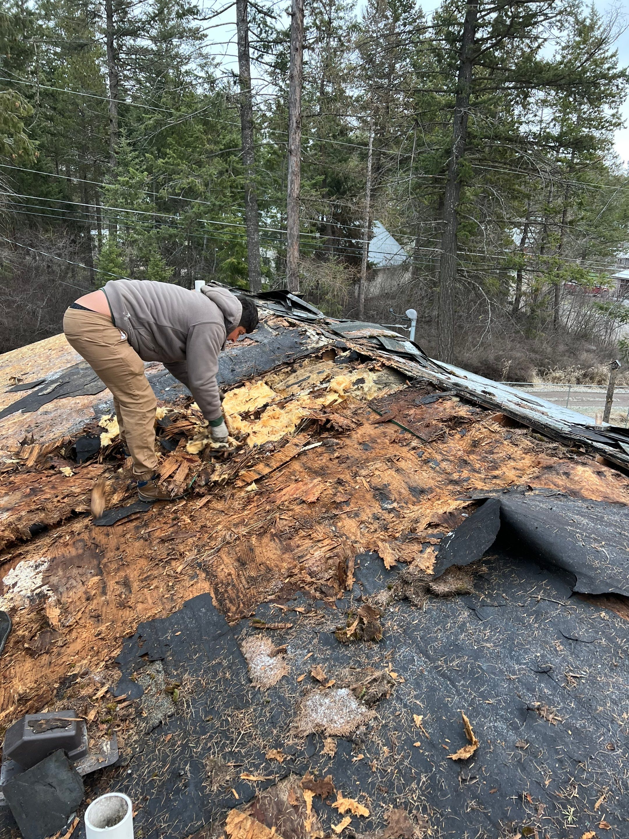 GAF Timberline HDZ - Hunter Green by Montana Roofing Solutions
