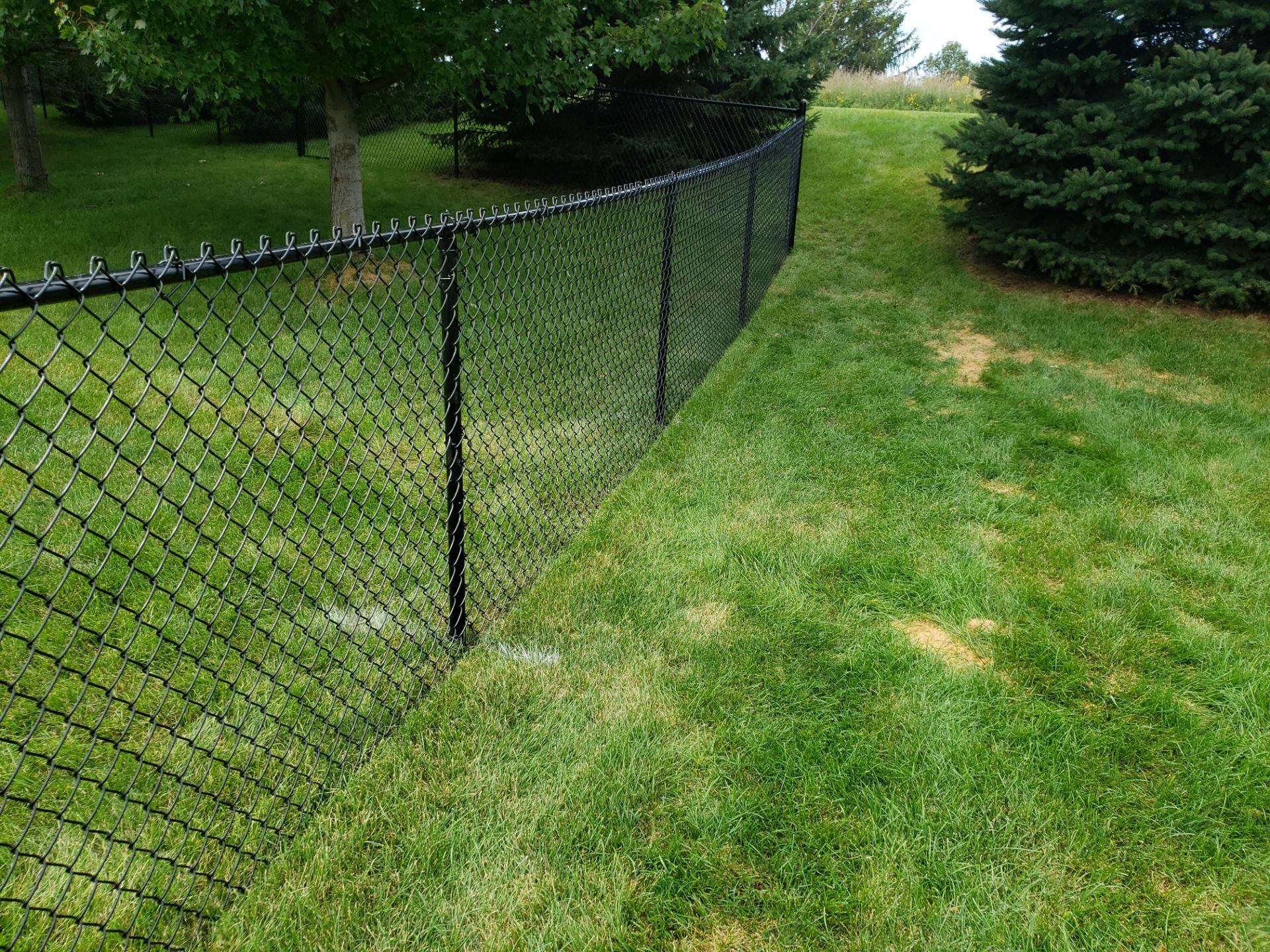 Black Vinyl-Coated Chain Link Fence Installation in Cedar Falls by Perfect Picket Fence and Stain