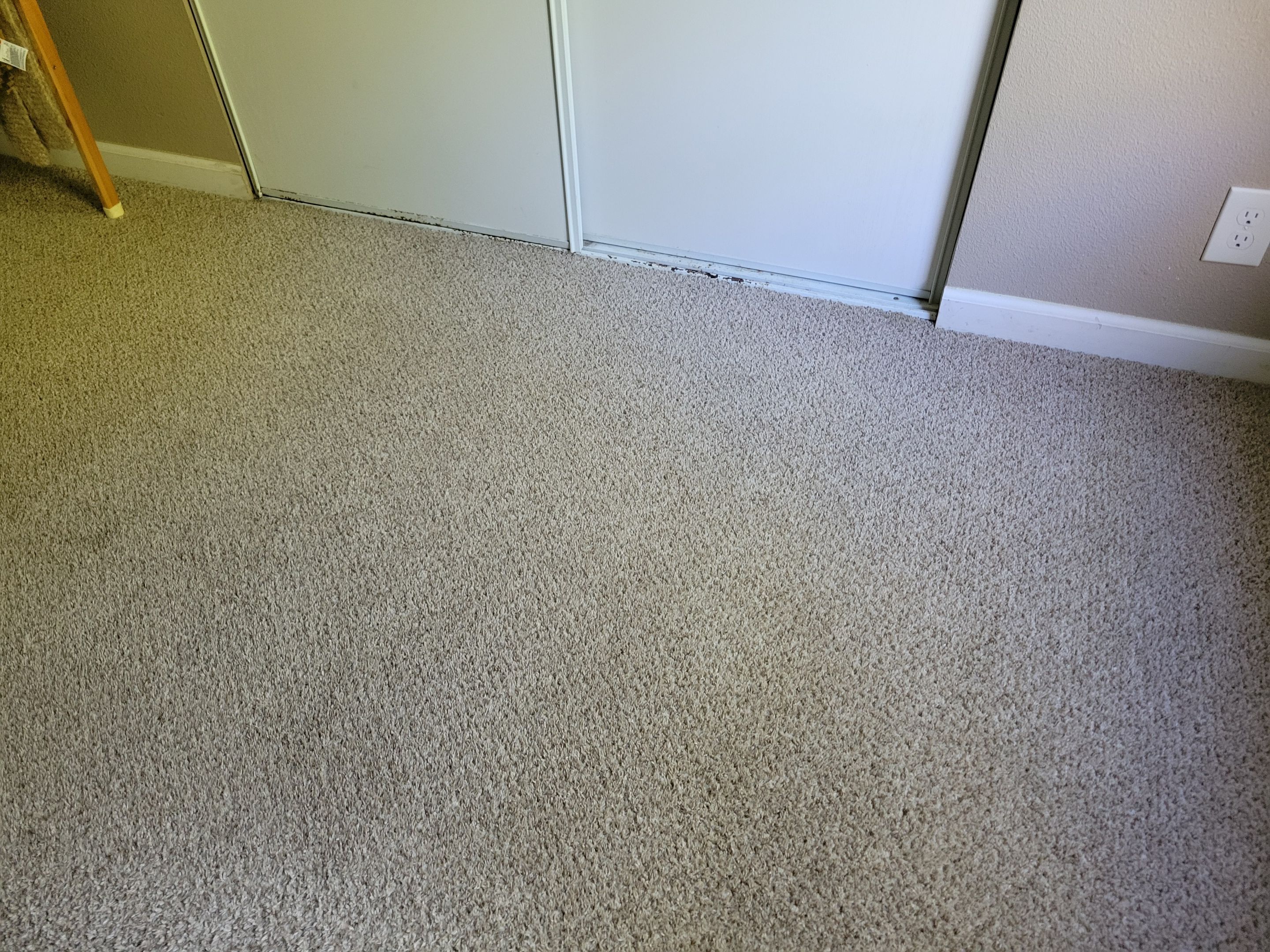 Pet Stain Treatment and Carpet Cleaning by Ardent Carpet Restore LLC