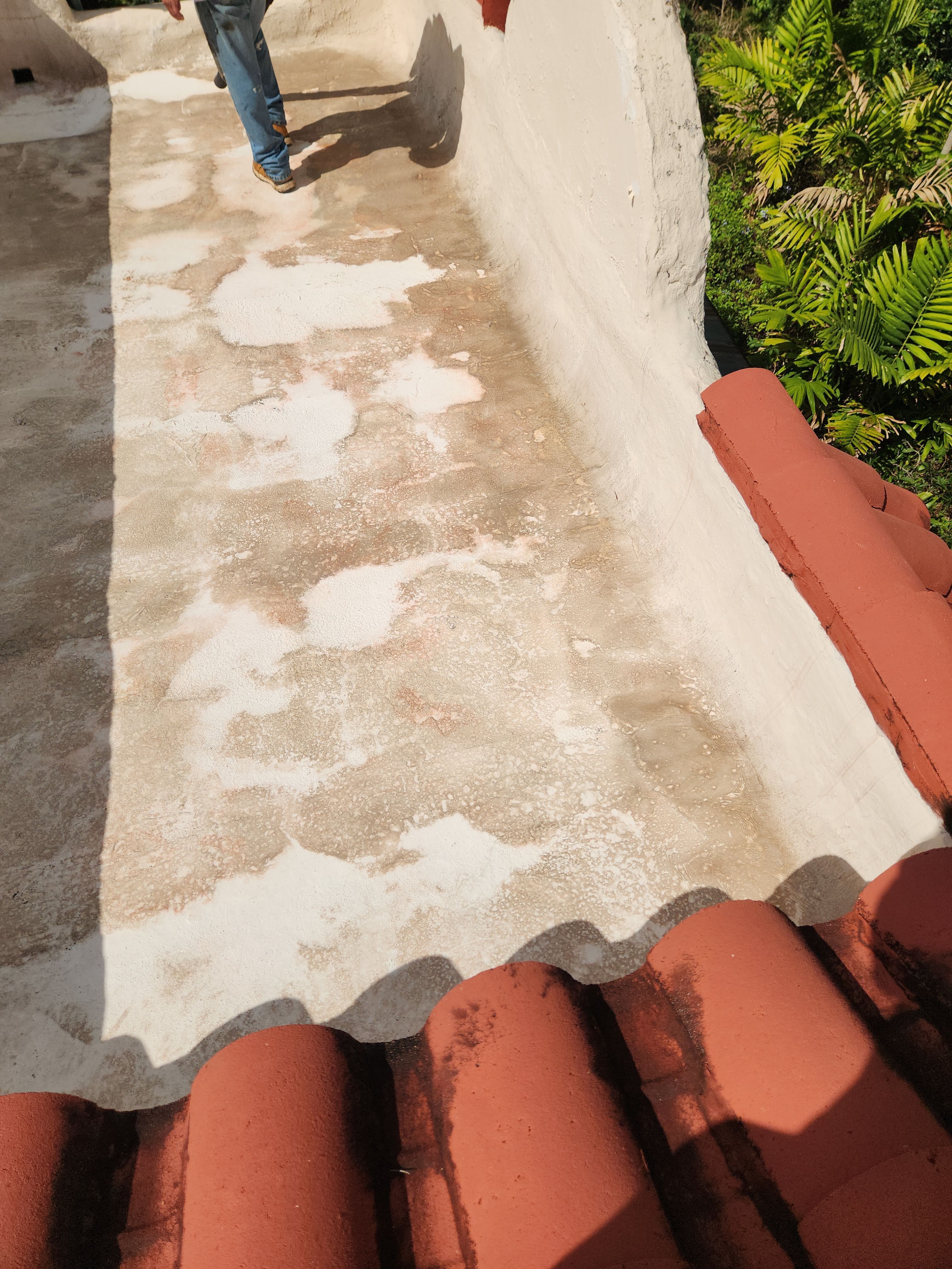 Expert Silicone Roof Coating in Hollywood – Aastro Roofing Delivers Long-Lasting Protection by Aastro Roofing