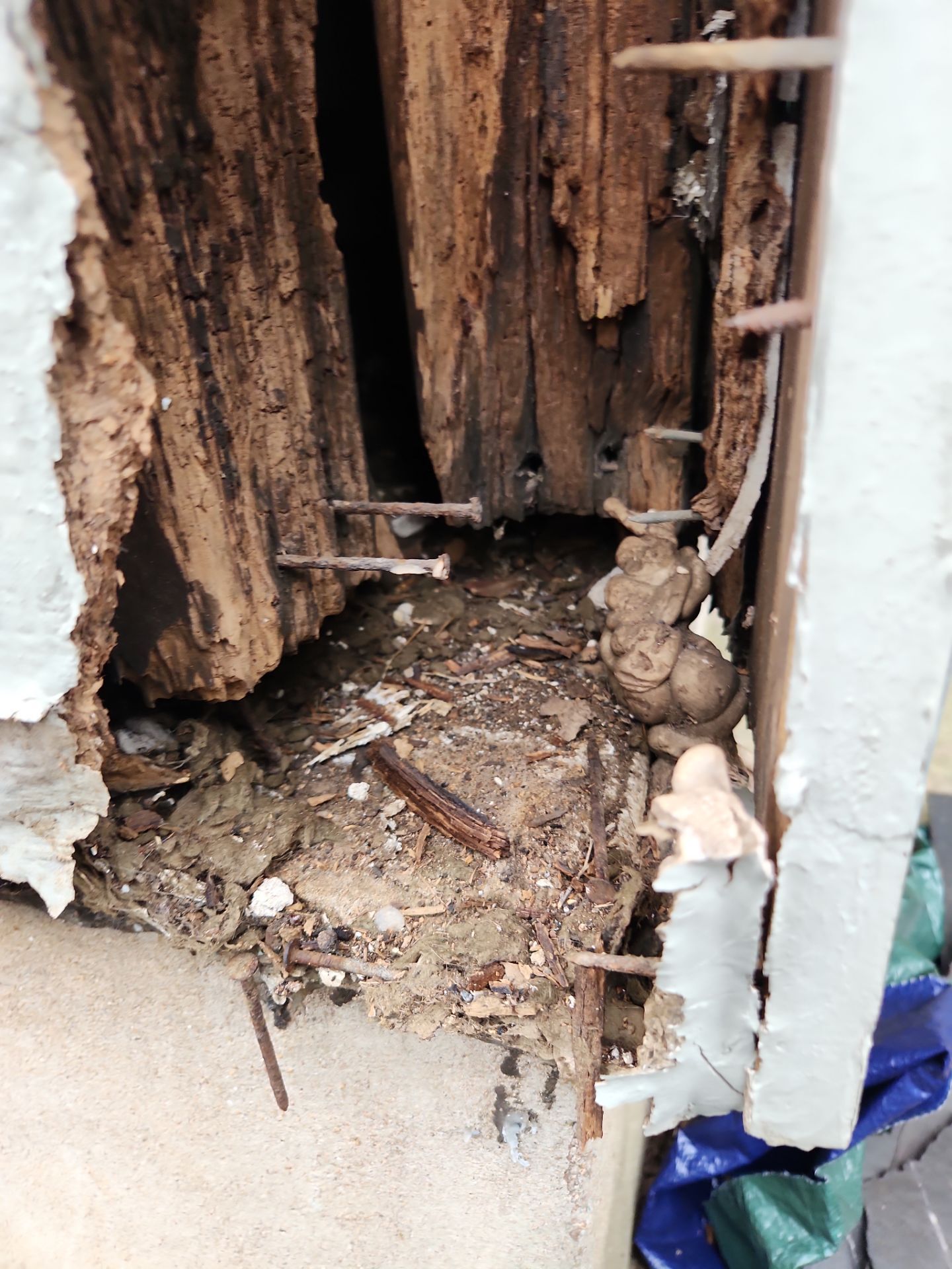 Exterior Wood Siding Rot Repair in Lamplight Village, Austin by RejuveNate Renovations LLC