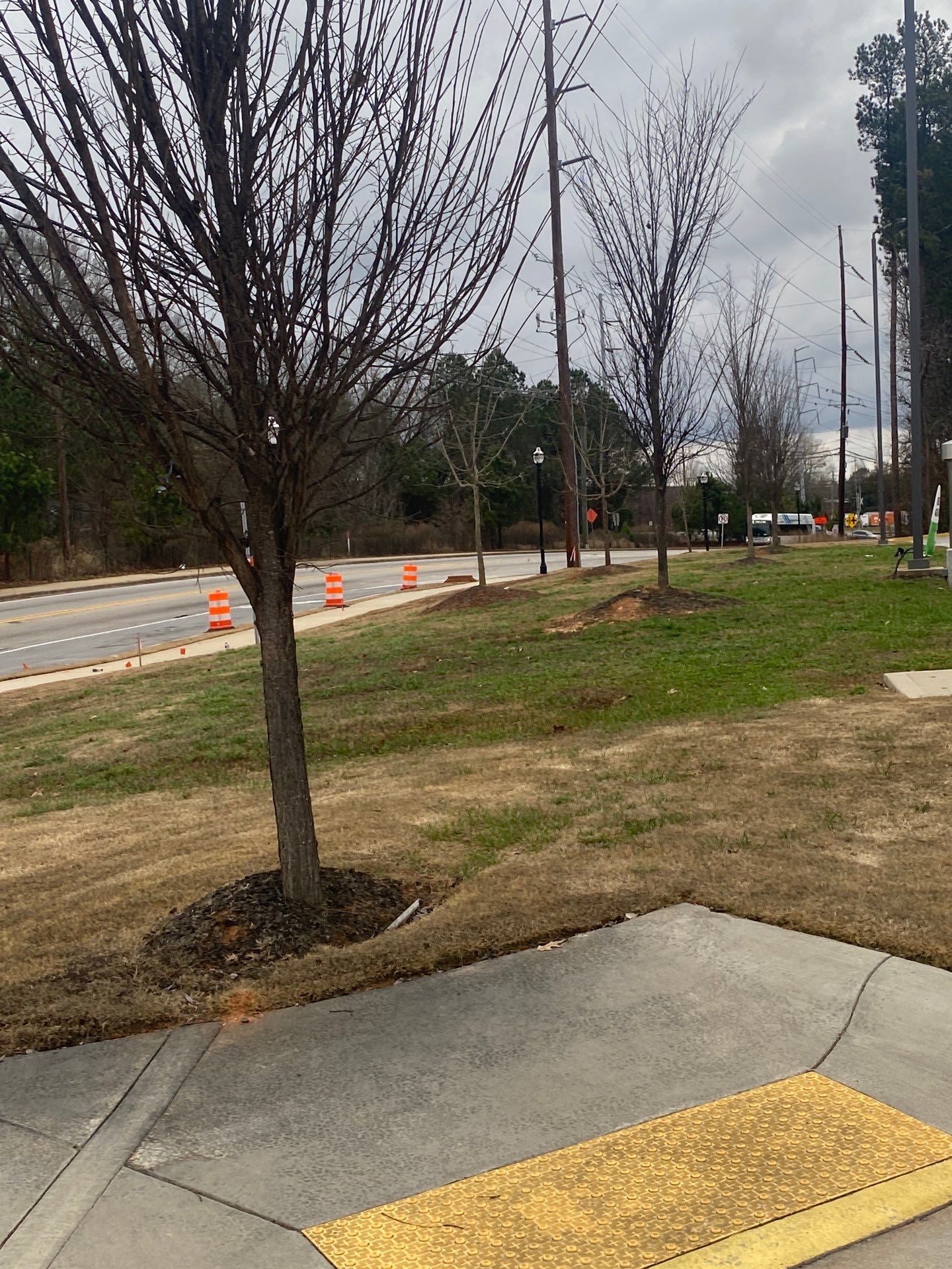 Serrato Landscape Innovations LLC featured photo.