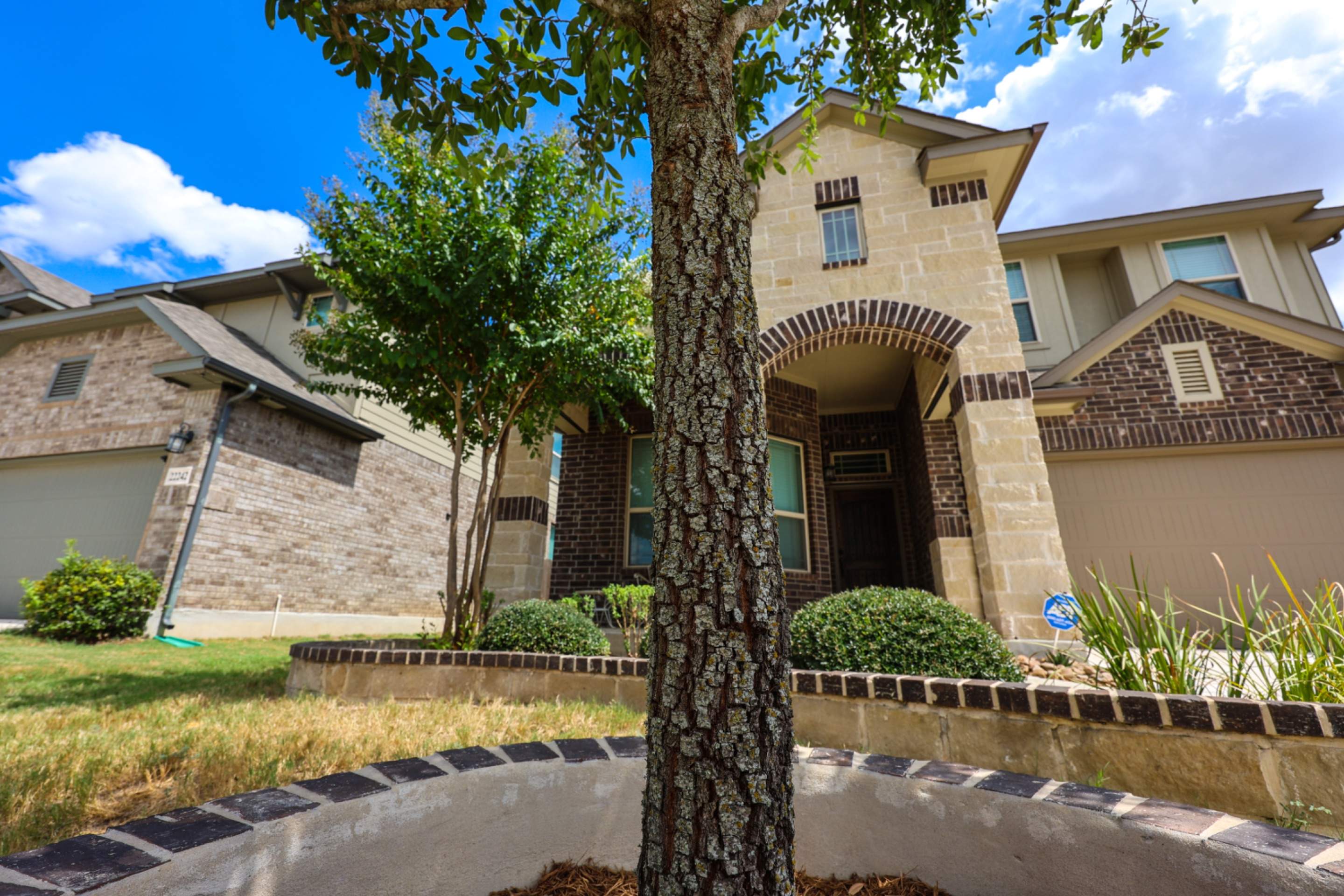Wortham Oaks - San Antonio, TX by Hole In One Lawns, LLC