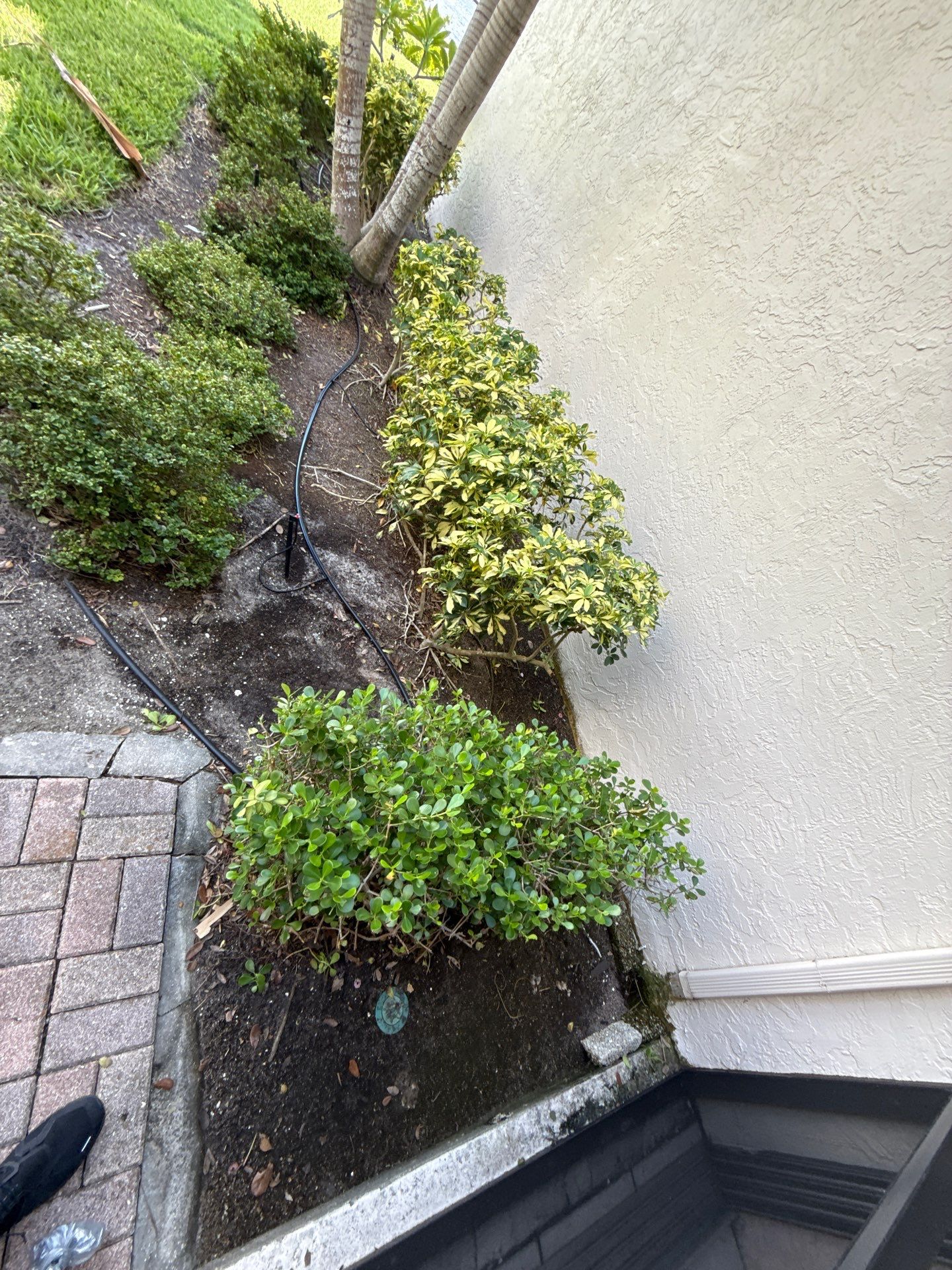 Downspout Installation Project in Sarasota FL by Gutter Professors