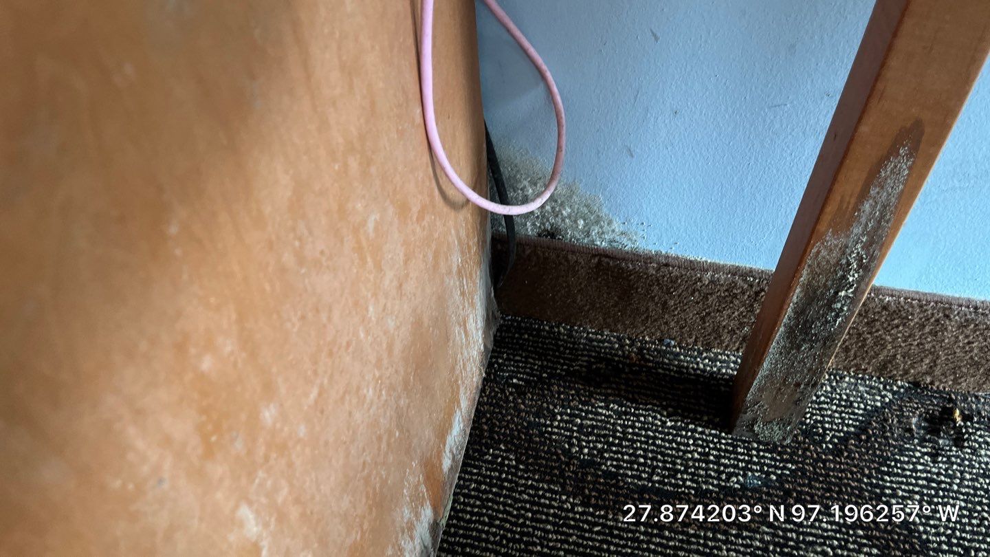 OH No, OYO! by Bayfront Roofing and Construction