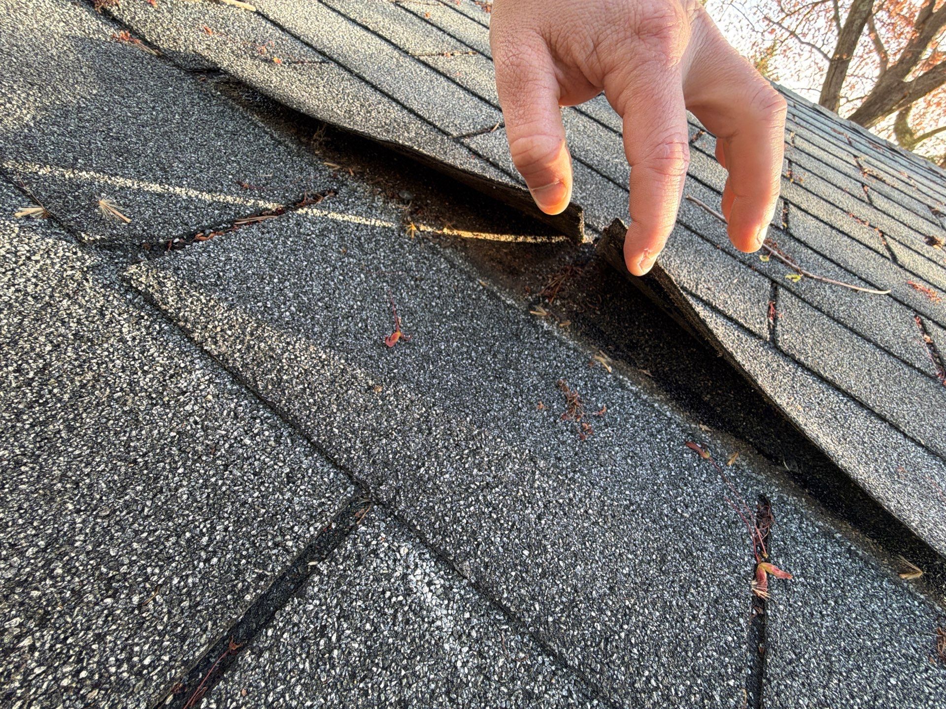 Asphalt Shingle Roof Replacement for Williamsburg Residential Property by Cade Construction