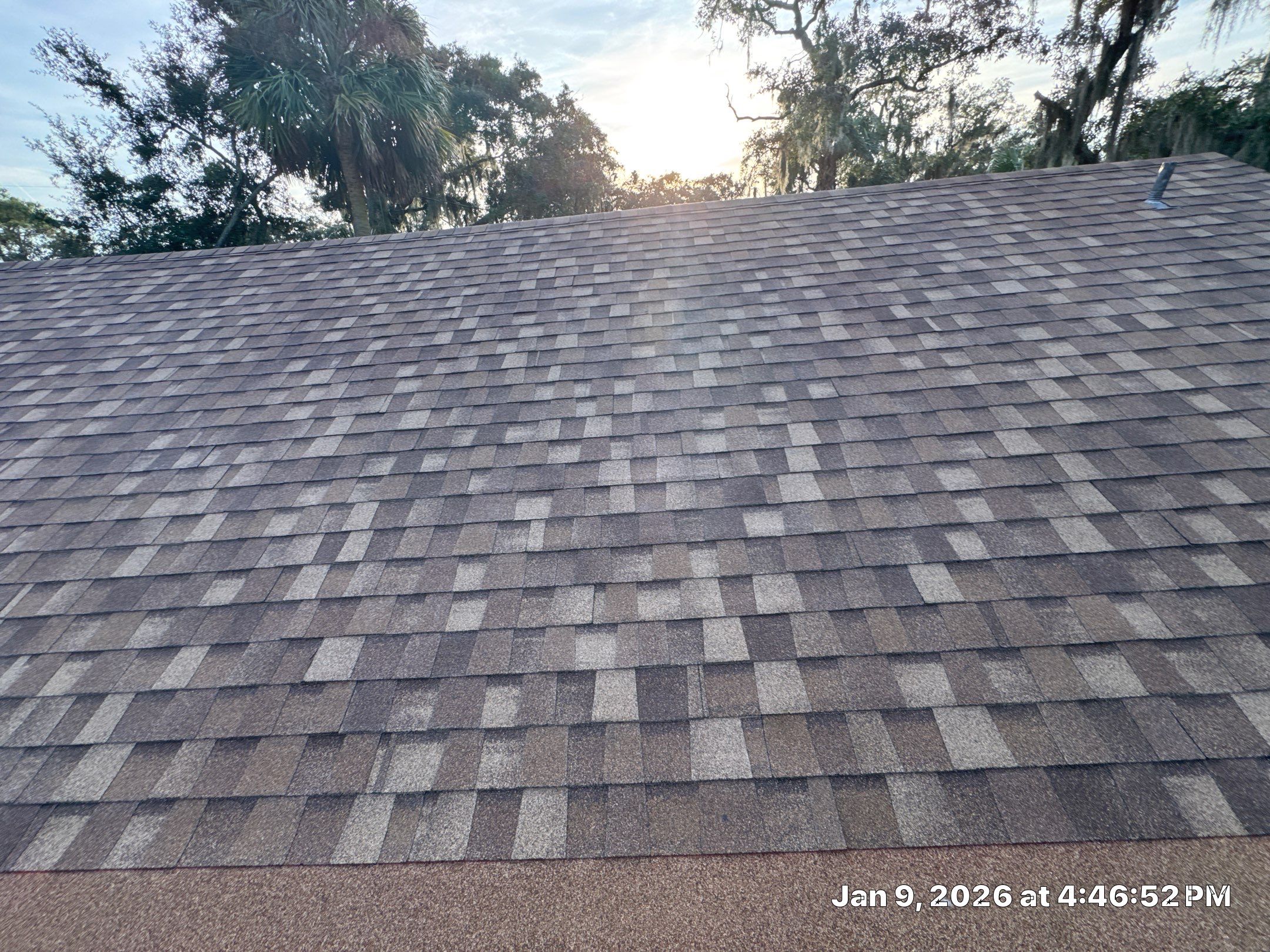 Tybee Island Atlas Pinnacle Pristine Morning Harvest Roof and redecking by Talya Roofing