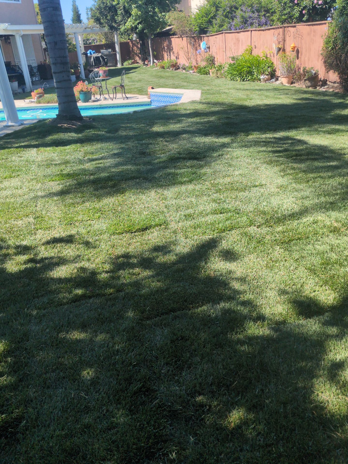 Project in Stockton by A - G Sod Farms