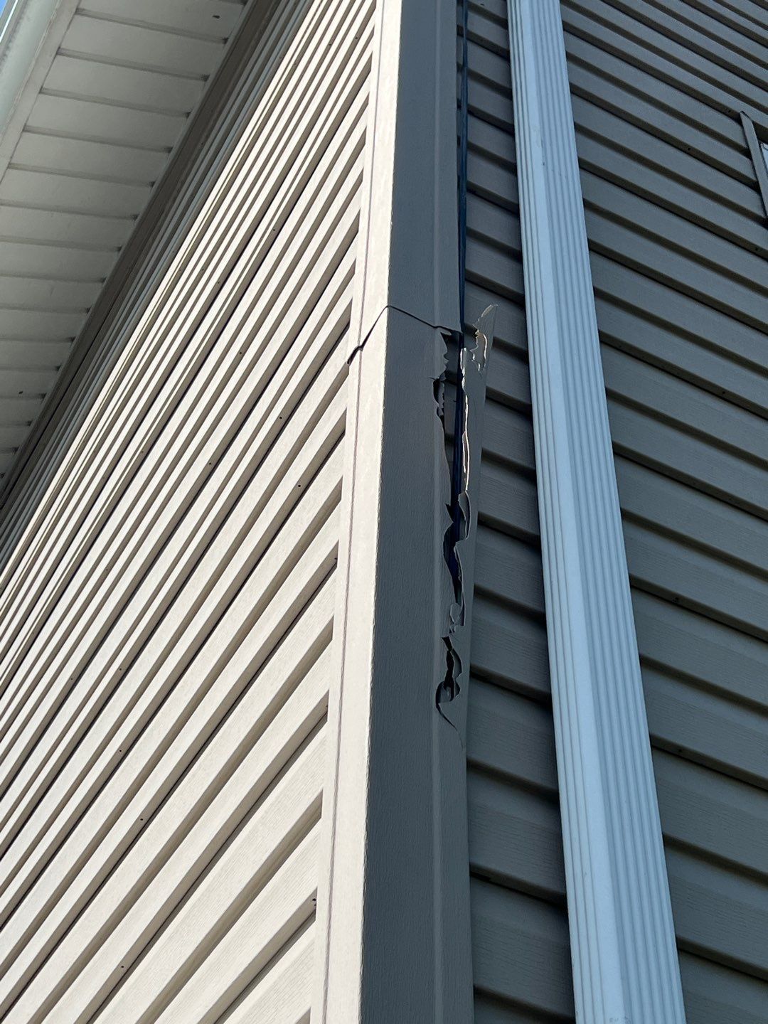 Paul Mulroy by Silver Leaf Contracting 
