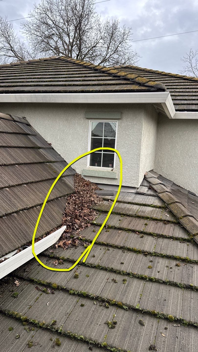 Project by NuLead Construction Inc by NuLead Construction Inc