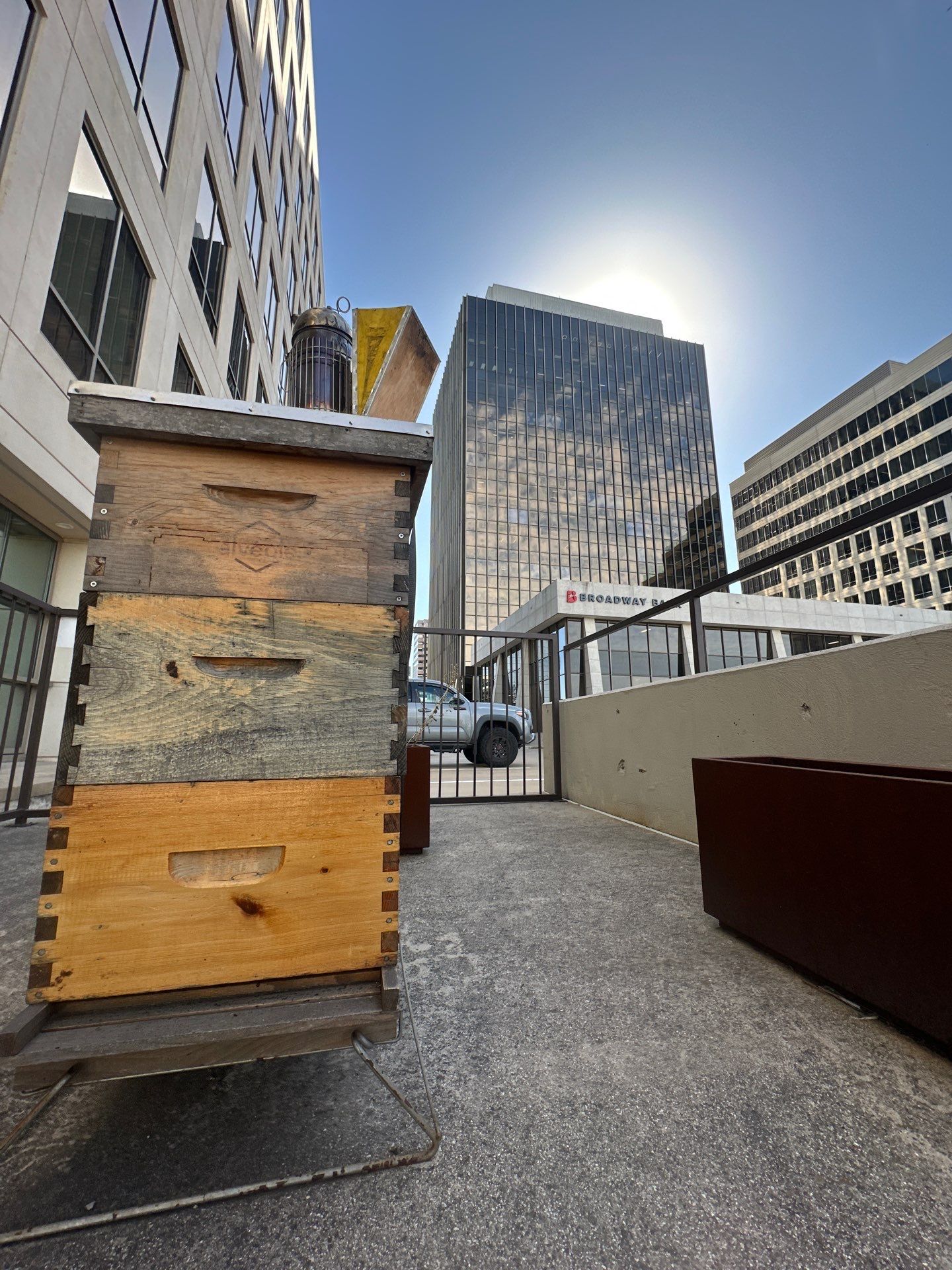 Urban bee hive in North Dallas by Rockwall Honey Bee Company