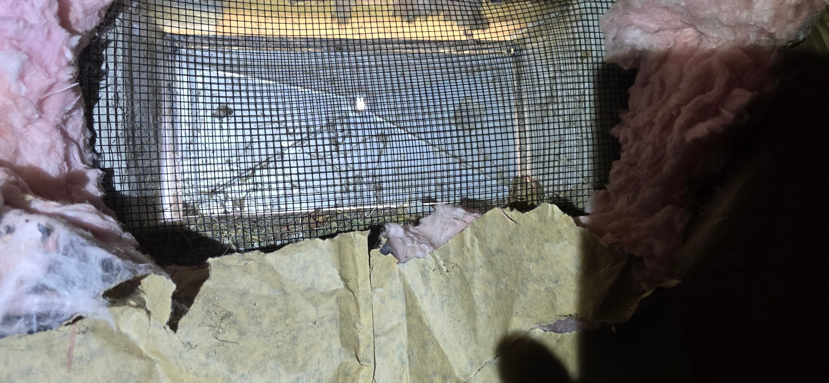 Crawl Space Encapsulation by Toledo Basement Repair