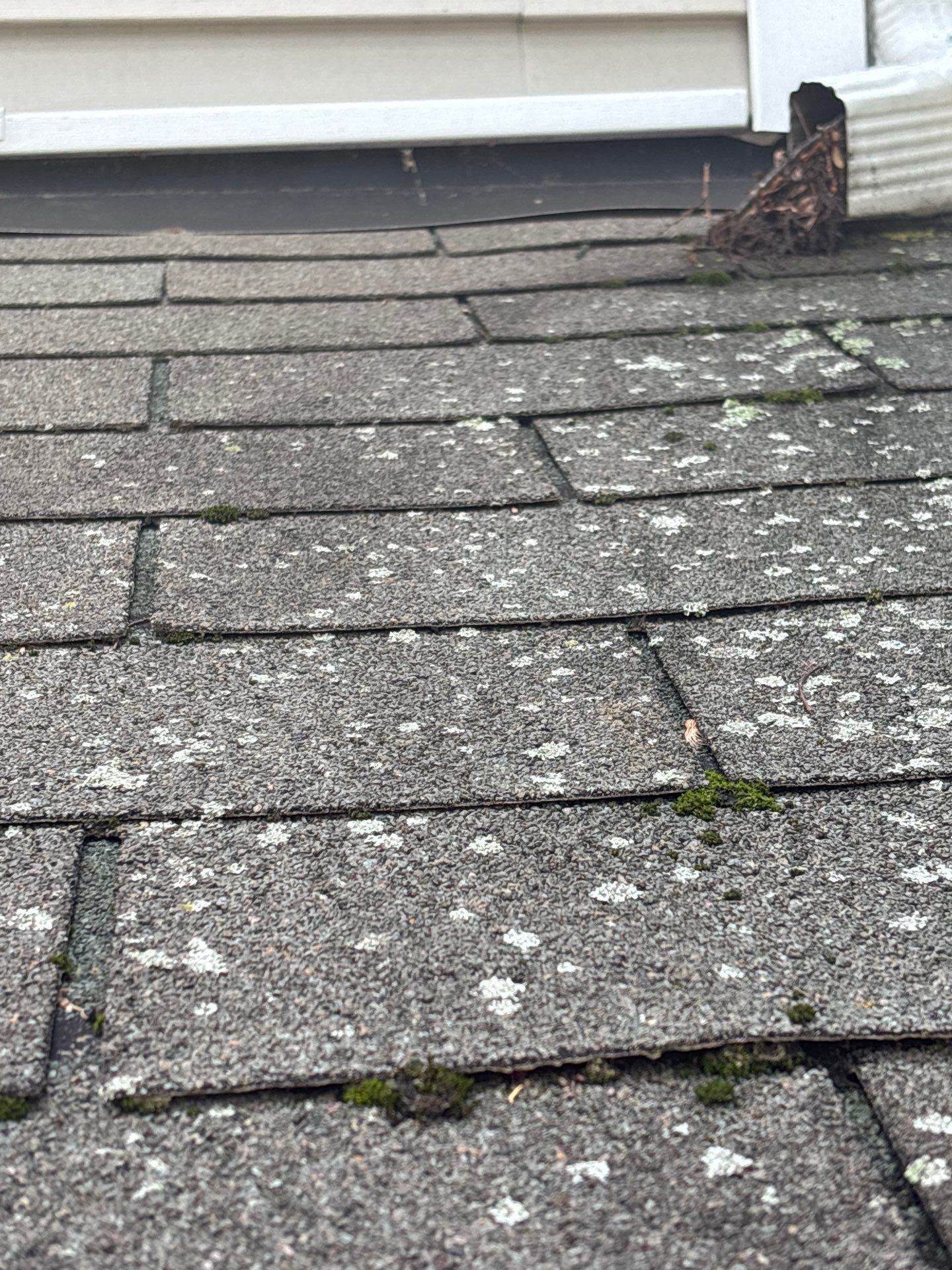 Project in Richmond by Roof Maxx of Midlothian