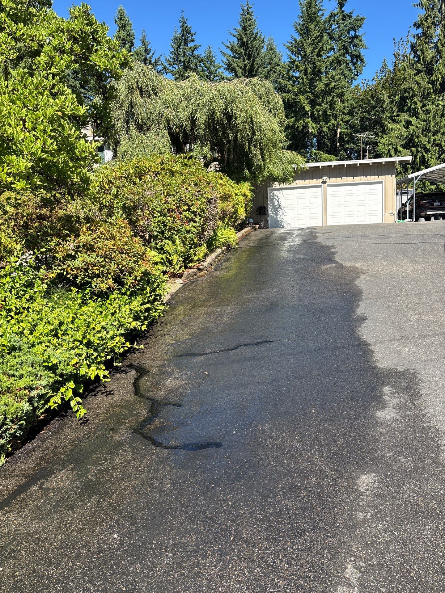 Driveway Sealcoat Repair | Woodinville  by Jireh Asphalt & Concrete Inc 