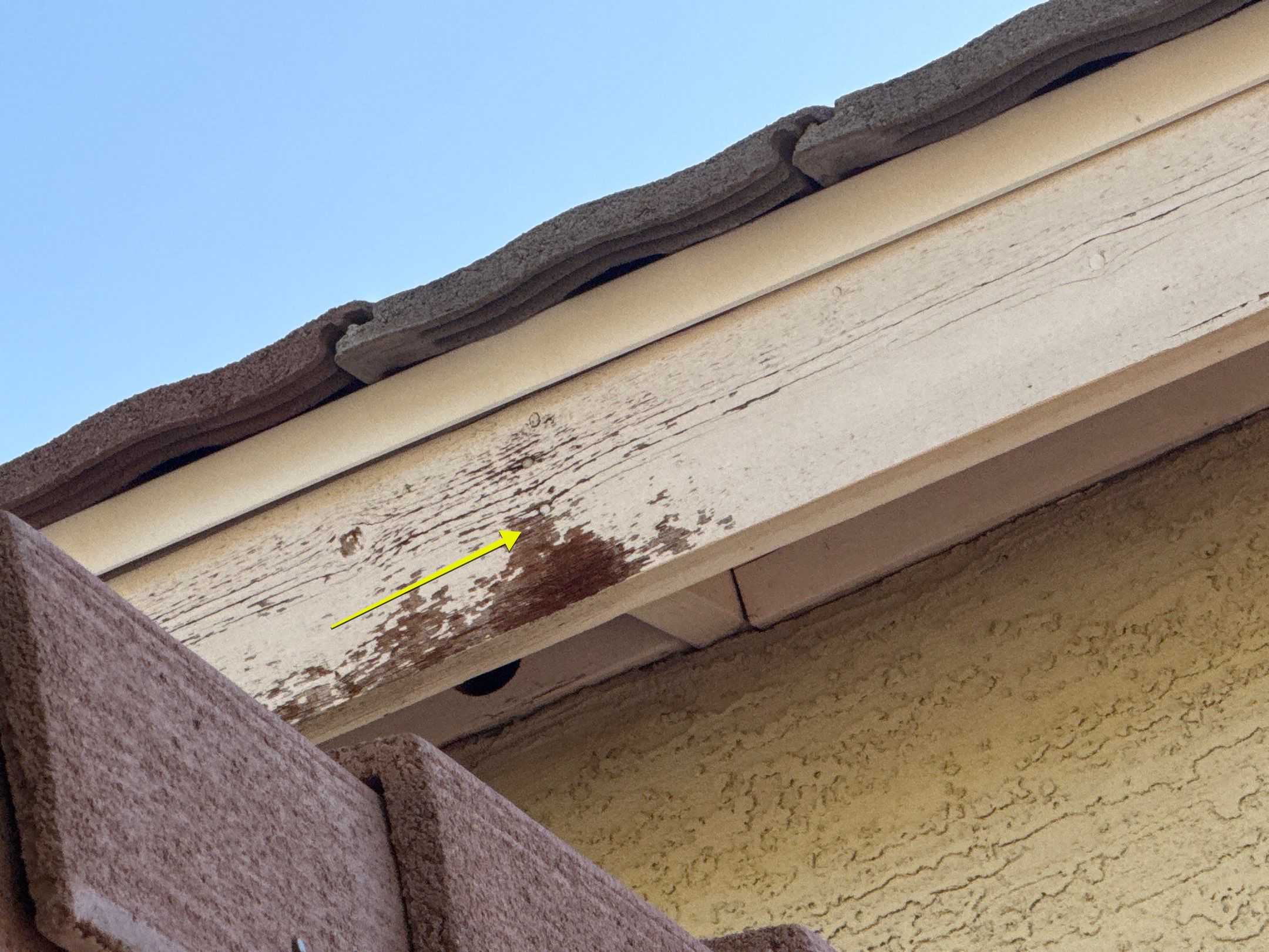 Exterior Painting - Gilbert by Crash of Rhinos Painting & Garage Floors