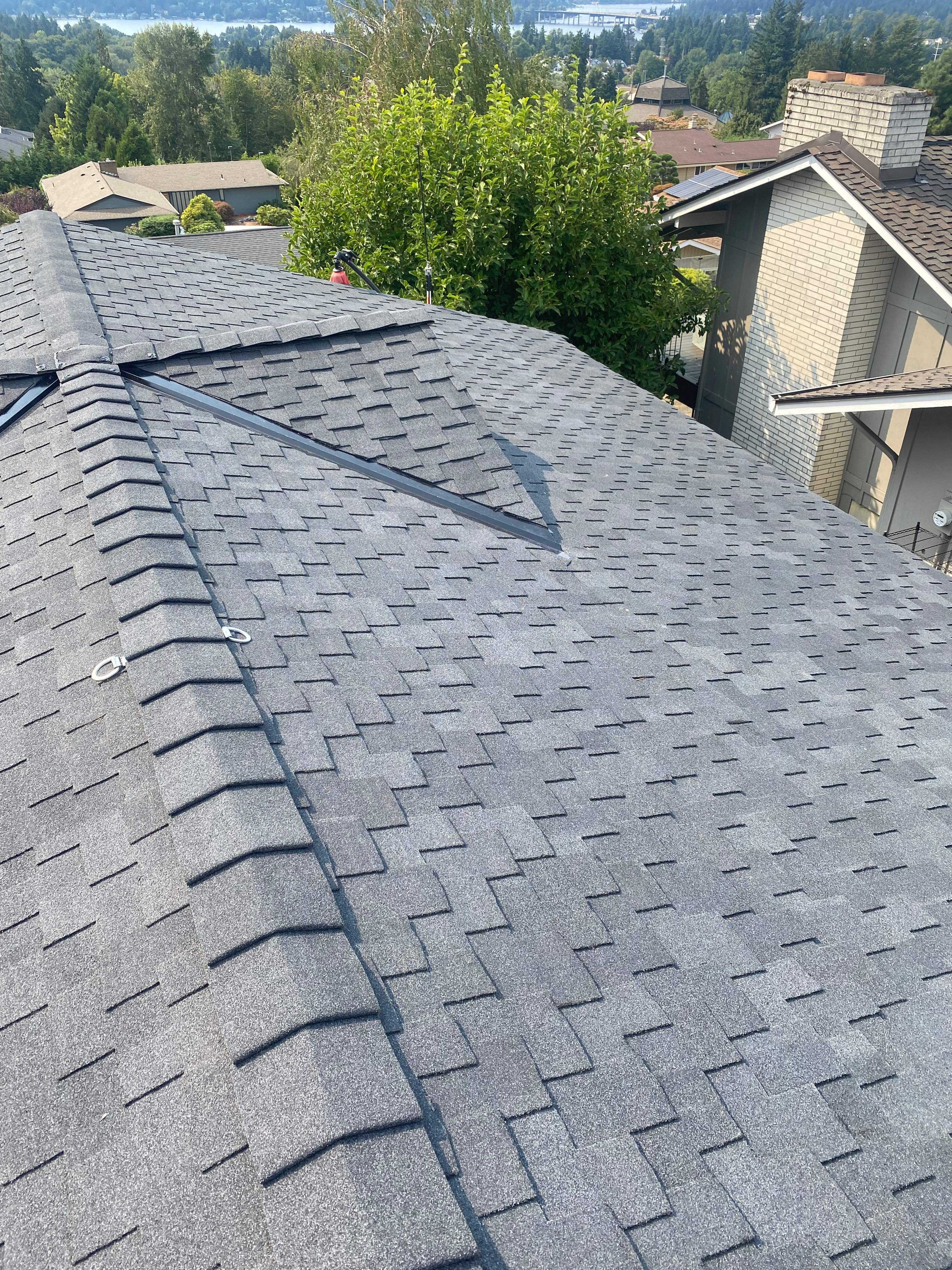 Bellevue Johnny by RoofWorks Northwest