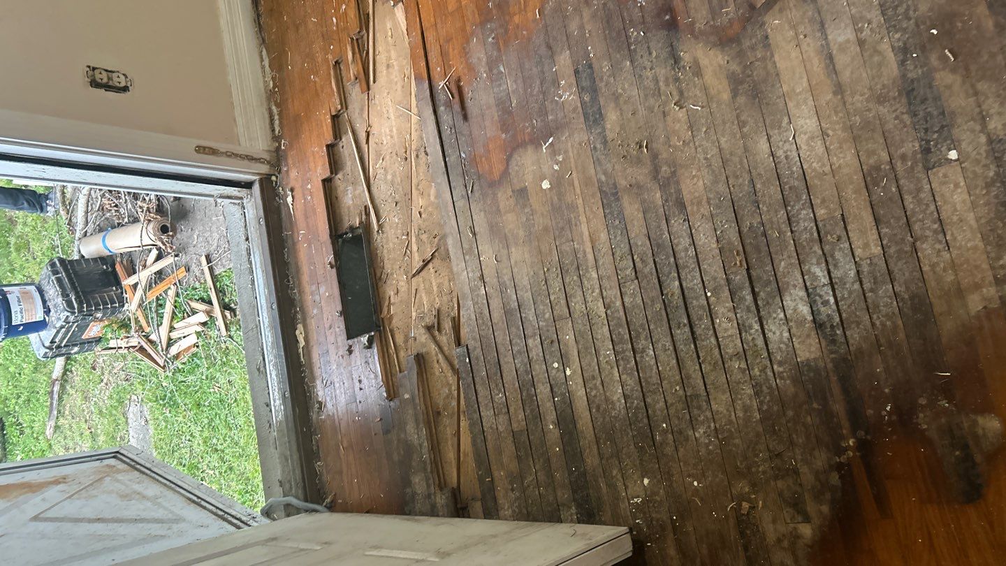 Under Carpet Reveal  by Footprints Floors of Nashville