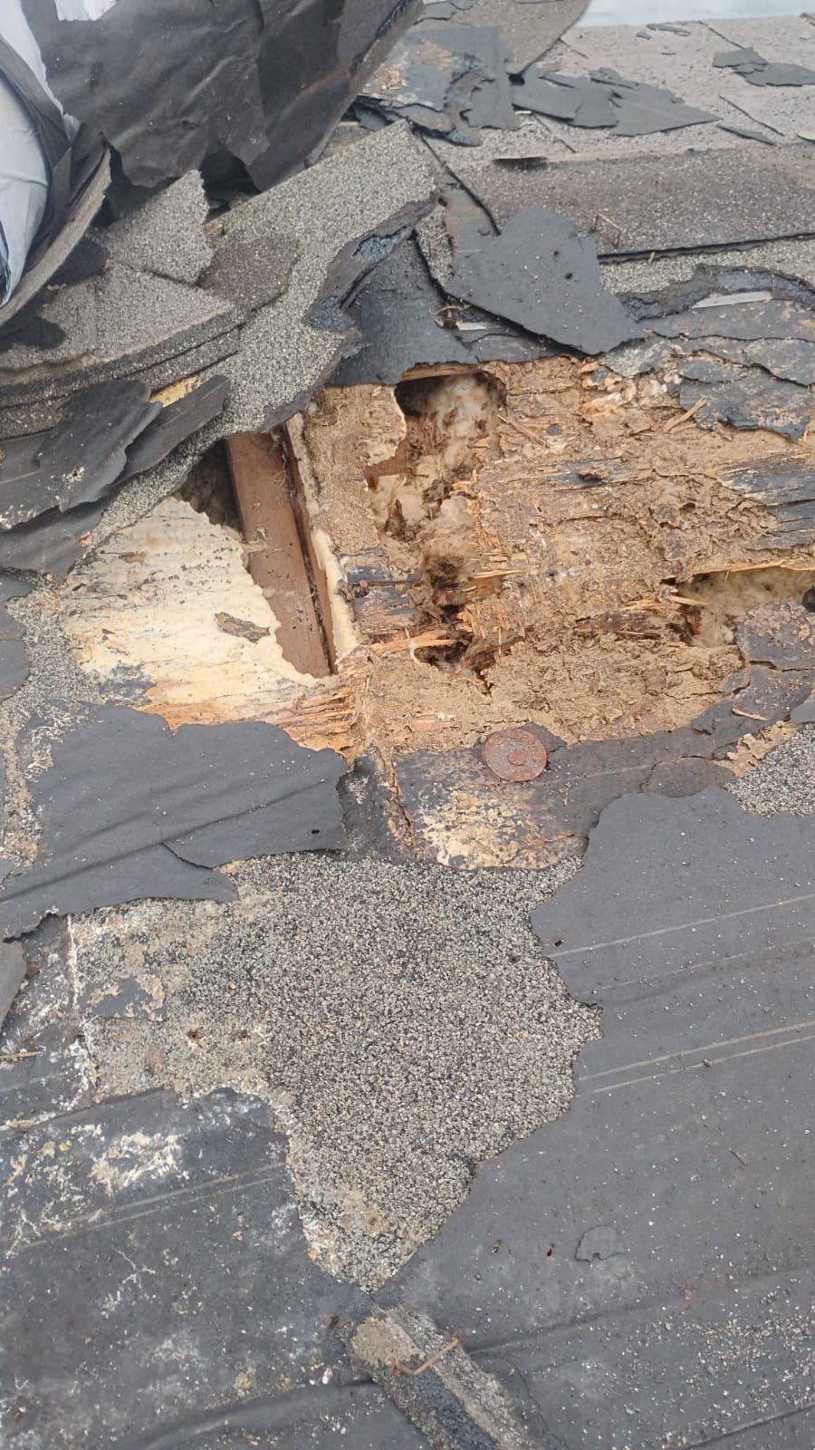 Project in Pflugerville by Serene Construction