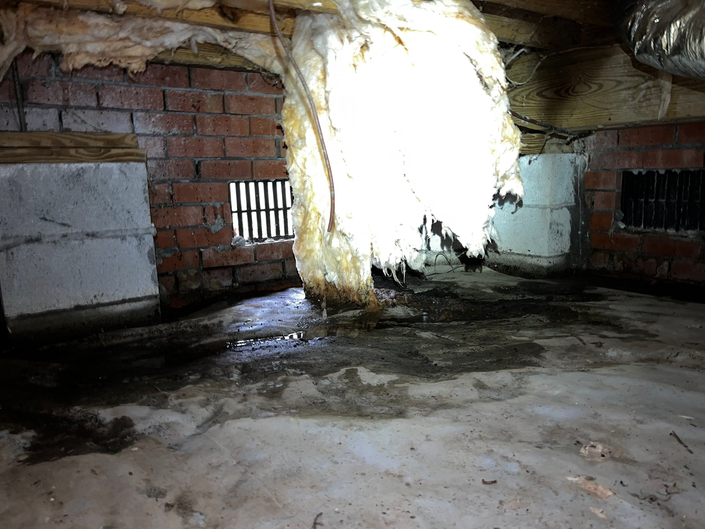 Impact Choice Encapsulation with French Drain and Crawlspace Doors by Impact Crawlspace