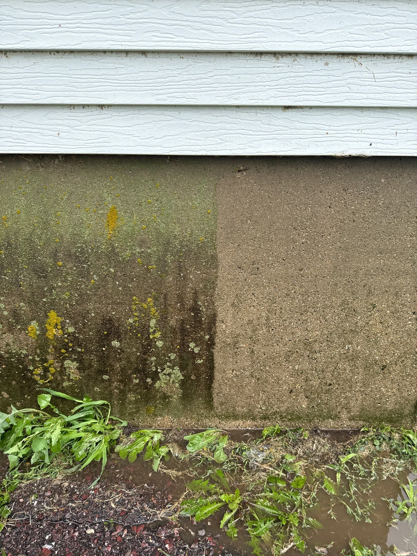 House Wash by Shulla Exterior Cleaning
