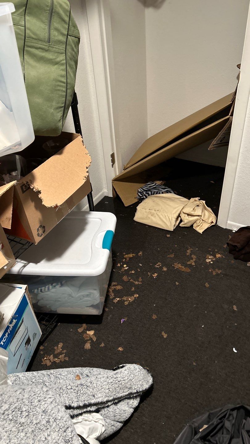 Water Damage by Accountable Home Services