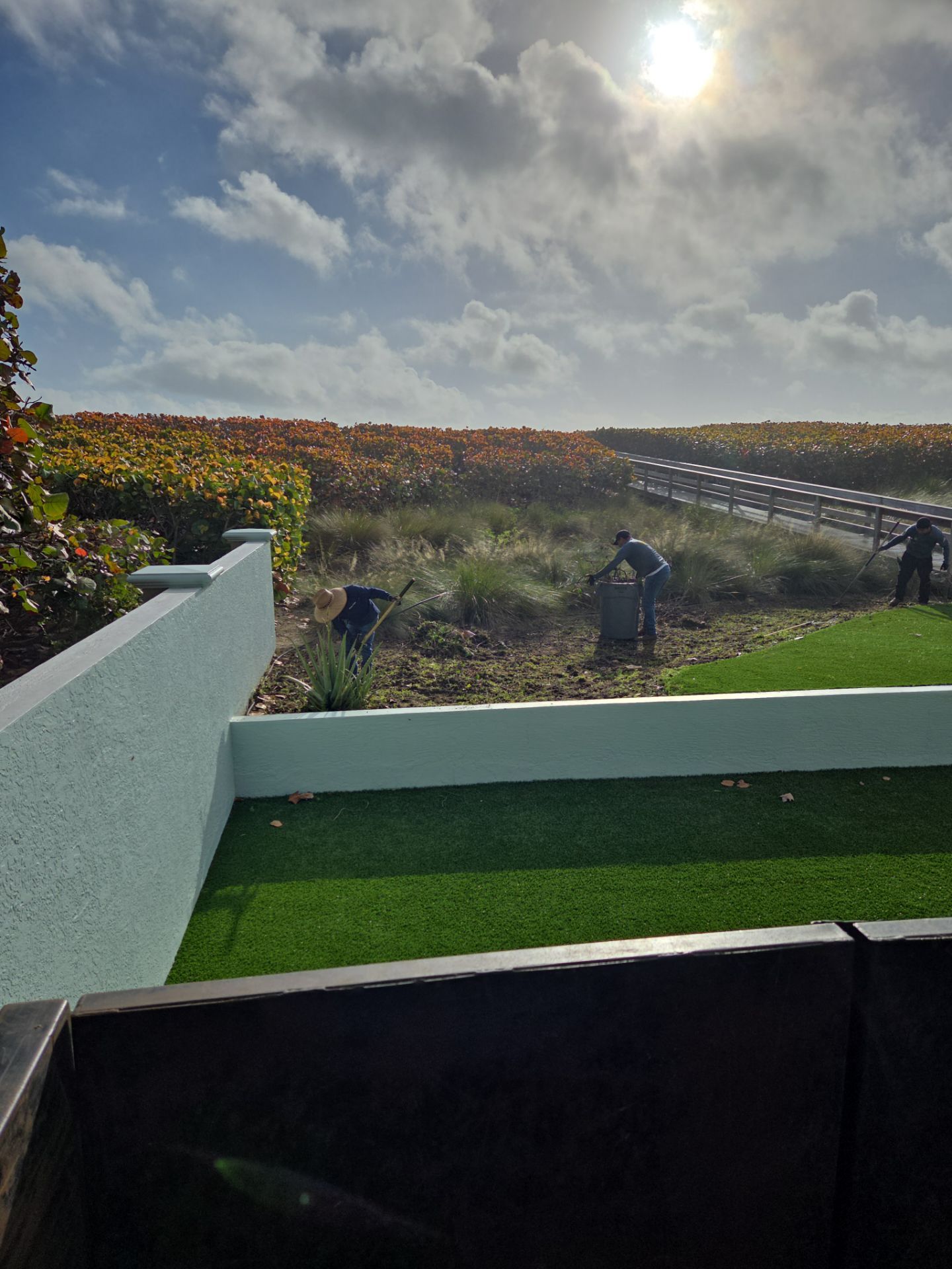 Hutchinson Island Oceanfront Landscape Restoration by Alpha Zeta Enterprises Inc