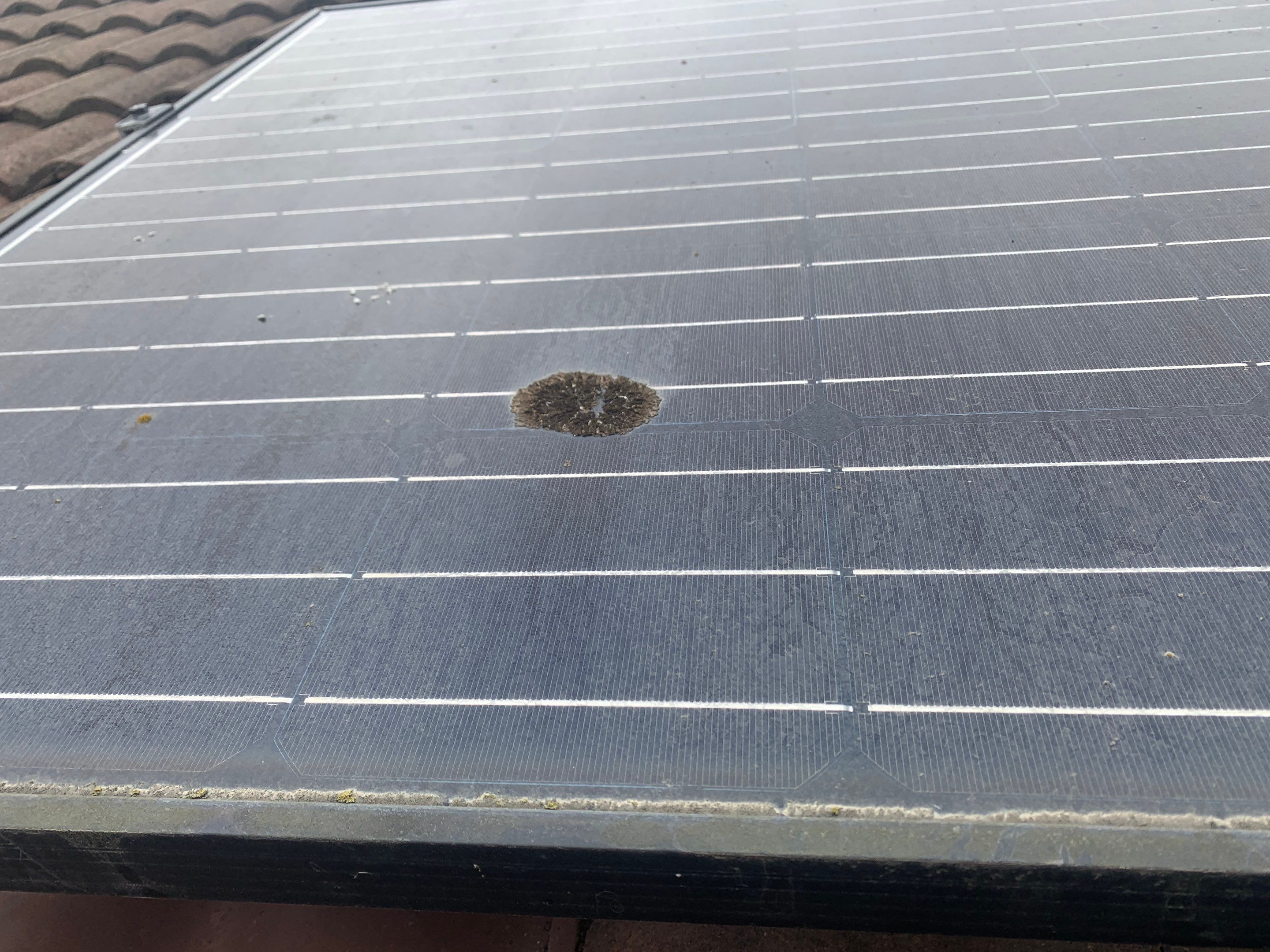 Rahul Prasad by SpotFree Window Cleaning