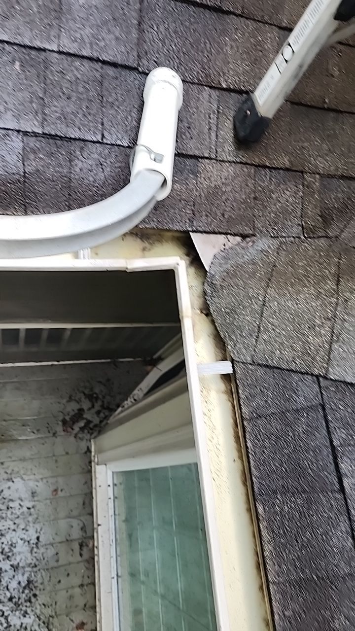 House Wash using cleaner by Power Wash Masters LLC