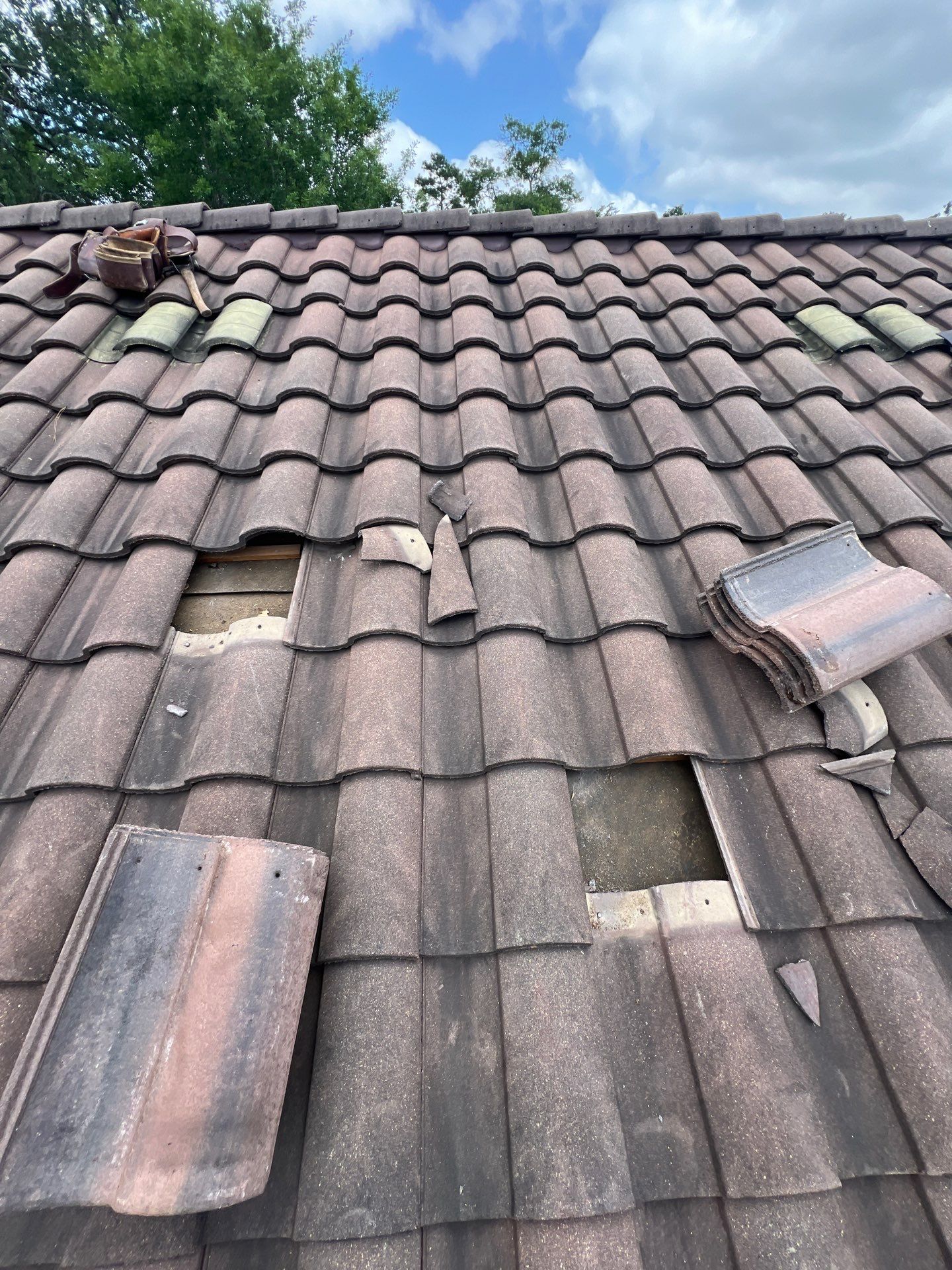 Roof Repair Spring by Roof Repair Company
