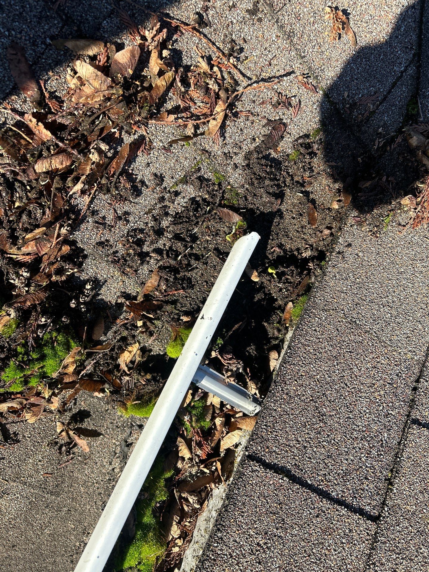 Project in Mount Vernon by Connolly Construction Company