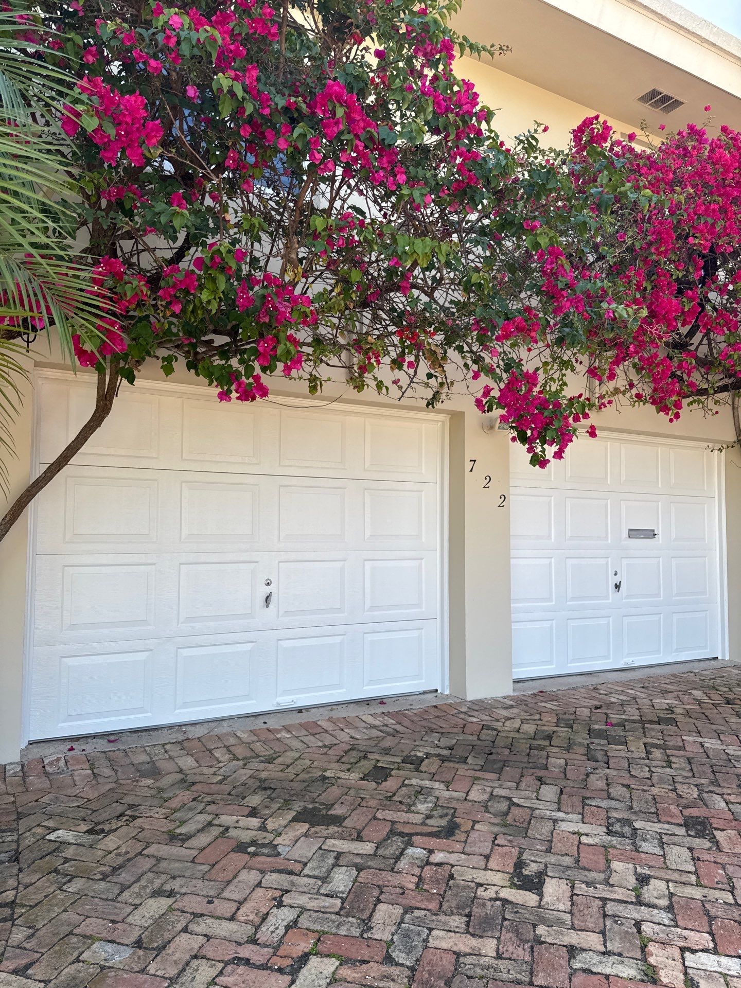 Residential Full Exterior  by John “The Greek” Painting