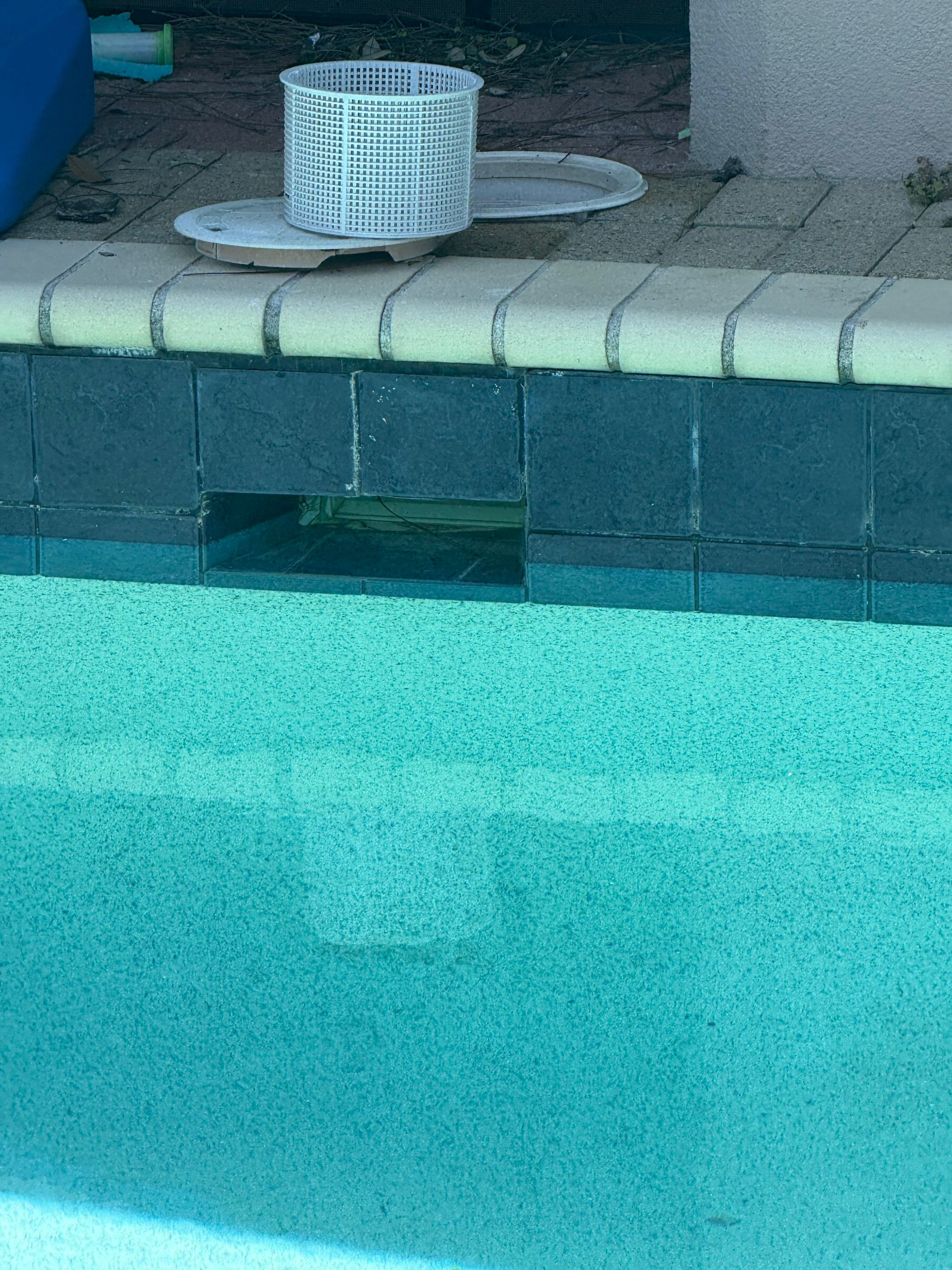 3407 N. Harbour Ccl. - PCB by ASP - America's Swimming Pool Company