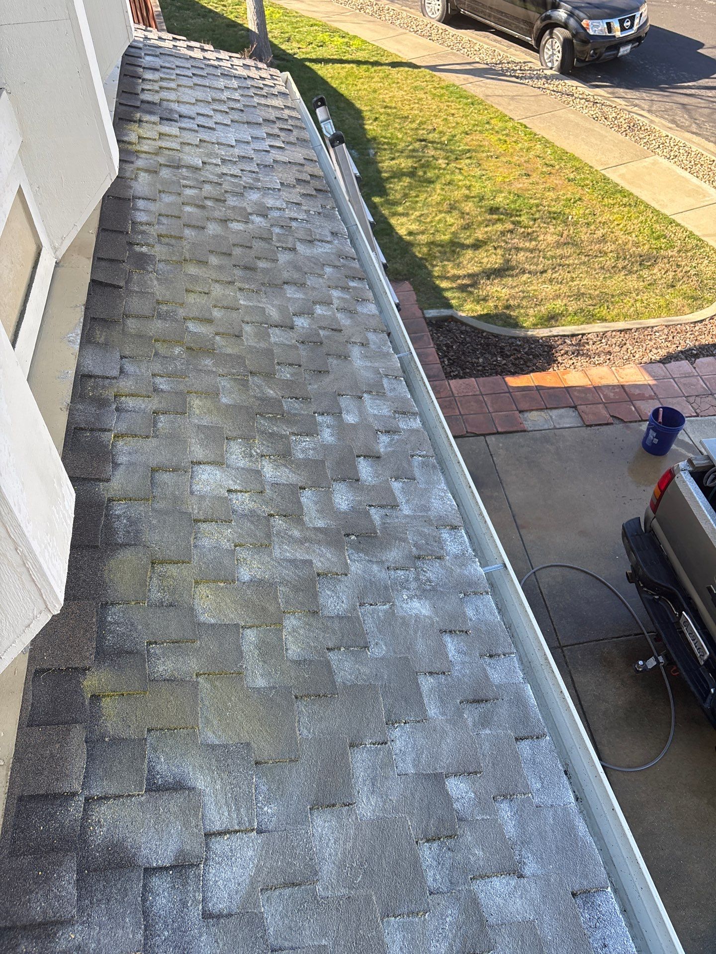 Moss Removal by Top Elevation
