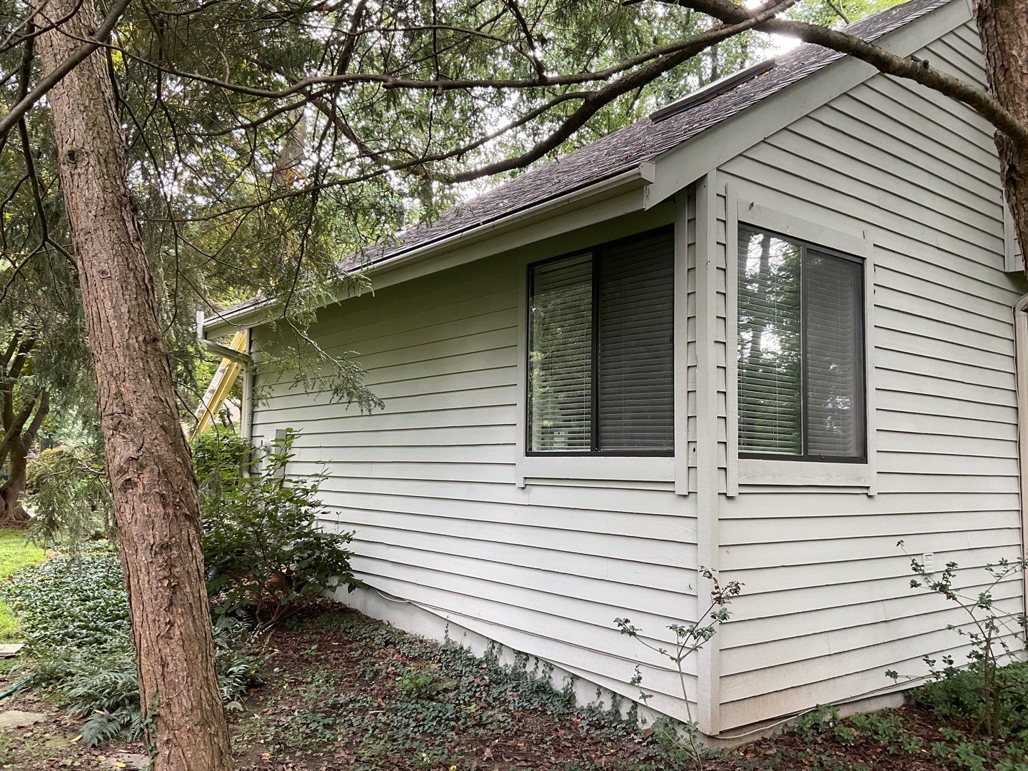 Install new shingles and new skylights  by Alpha Design Services